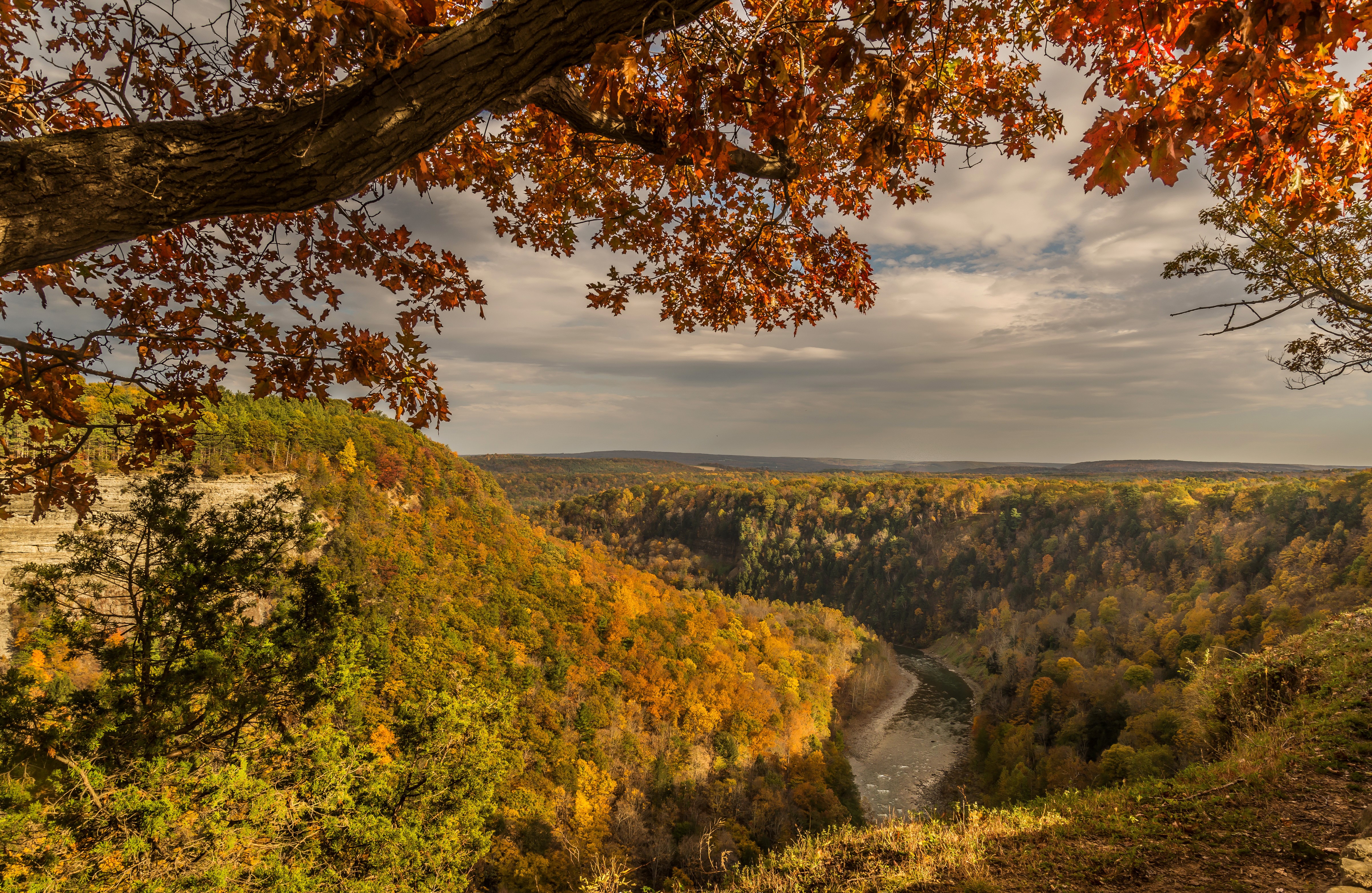 Autumn Scenery with River and Forest HD Wallpaper