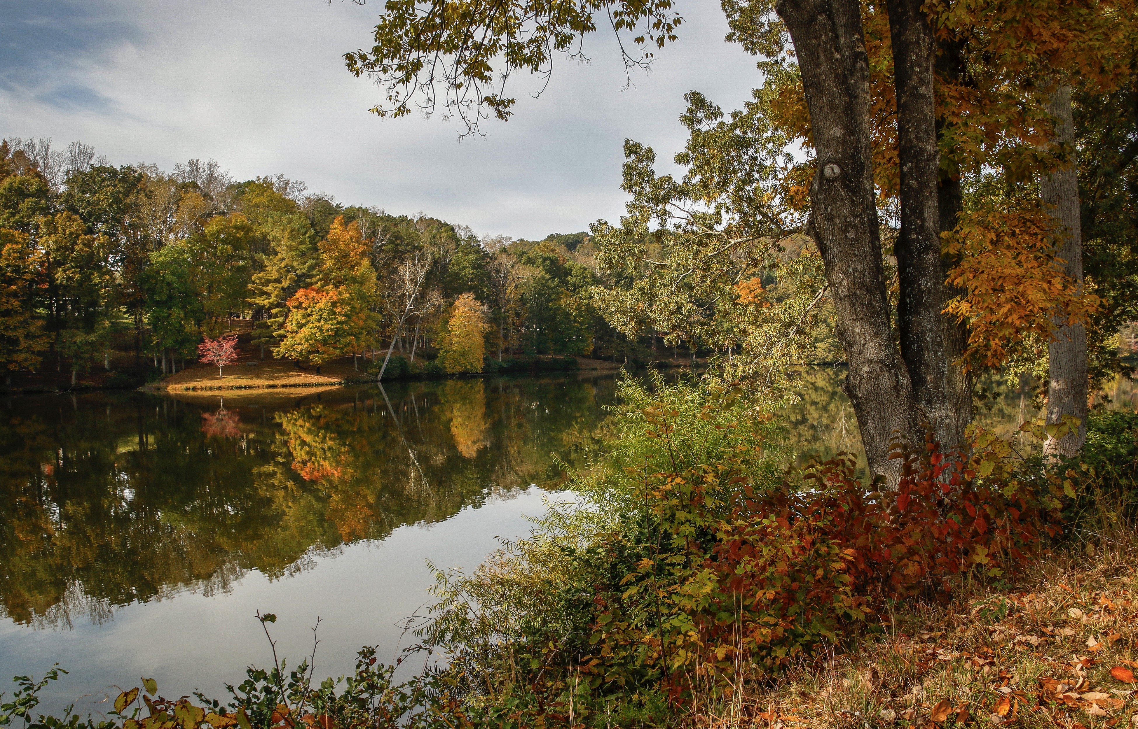 Autumn lake with trees reflecting in the water HD Wallpaper