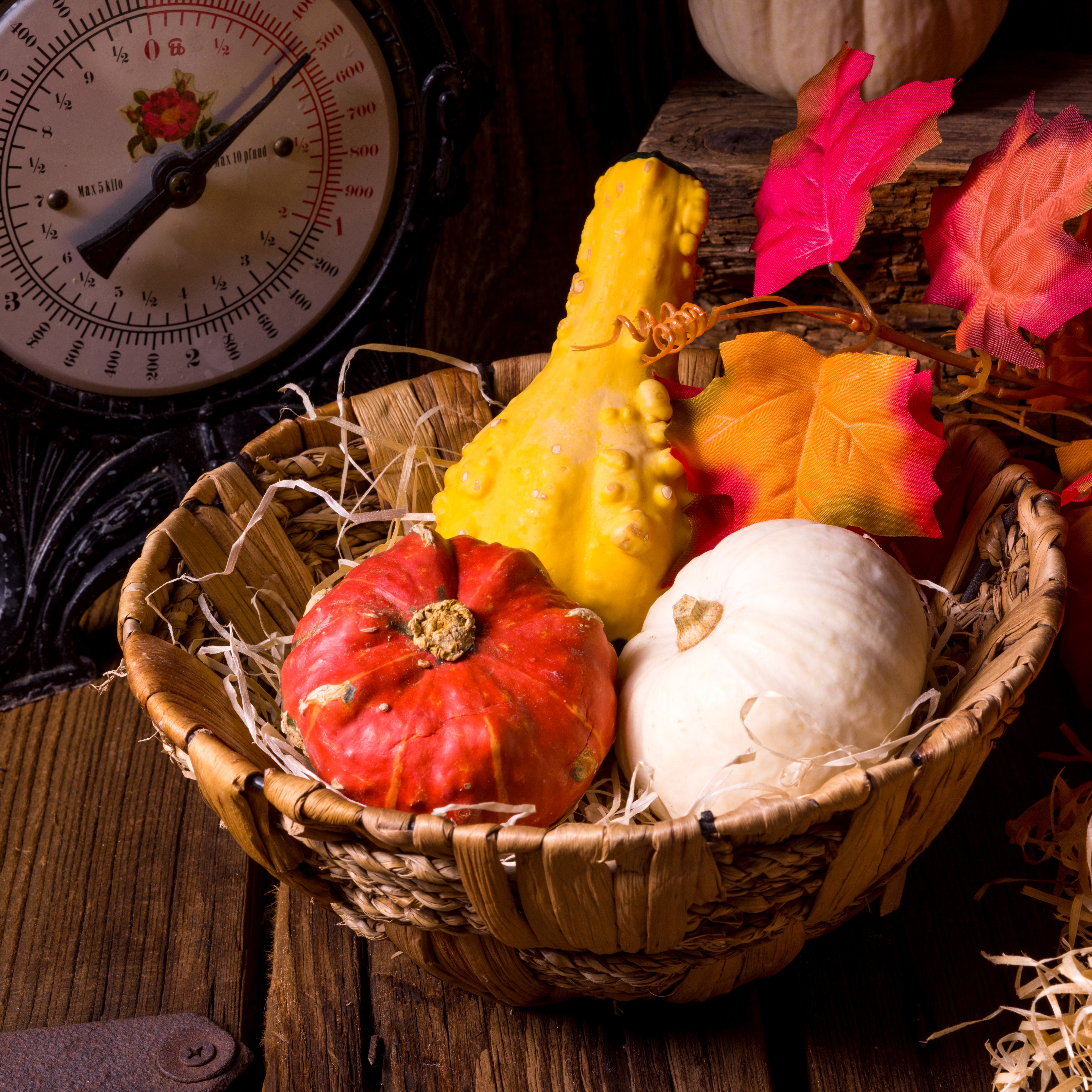Pumpkins in a Wicker Basket with Autumn Leaves HD Wallpaper