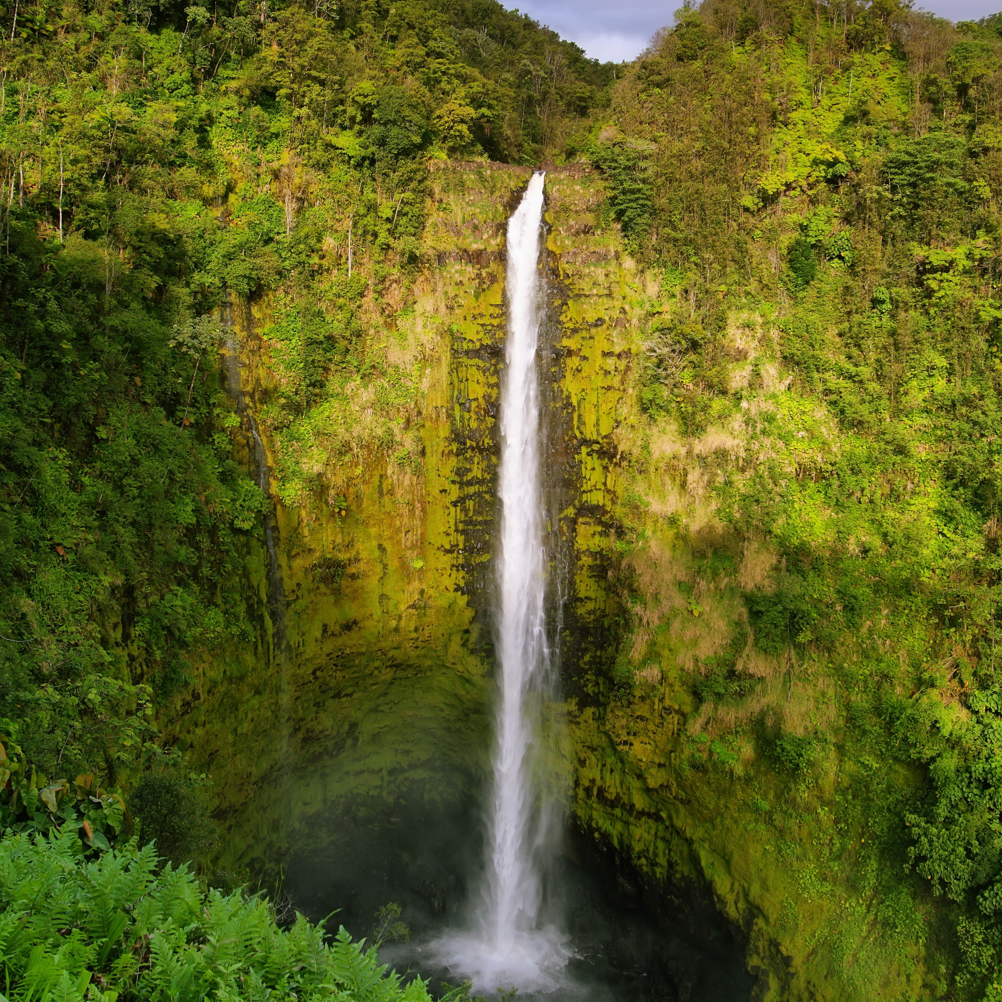 Akaka Falls Waterfall in Hawaii HD Wallpaper