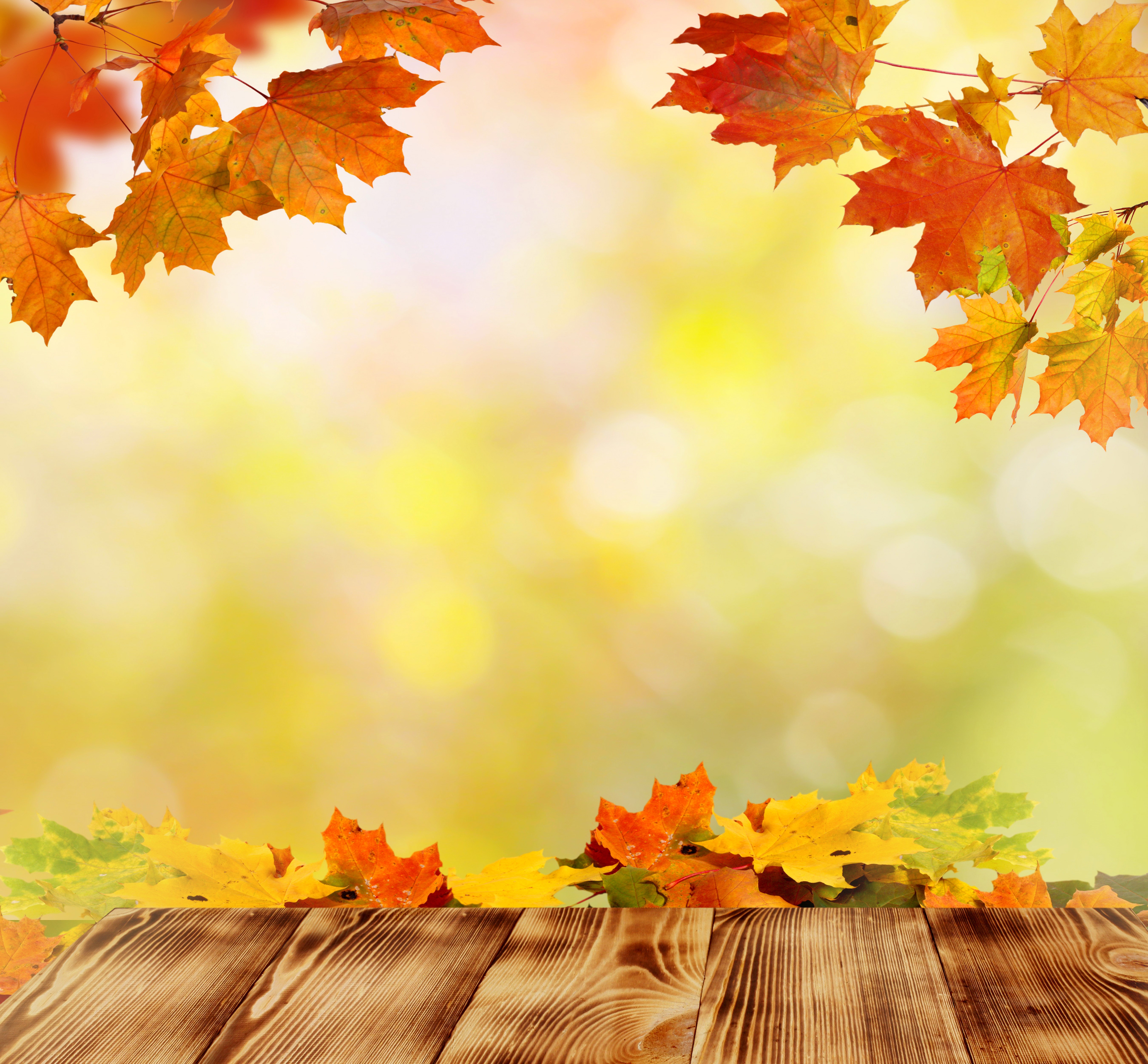 Autumn Leaves and Wooden Planks Template HD Wallpaper