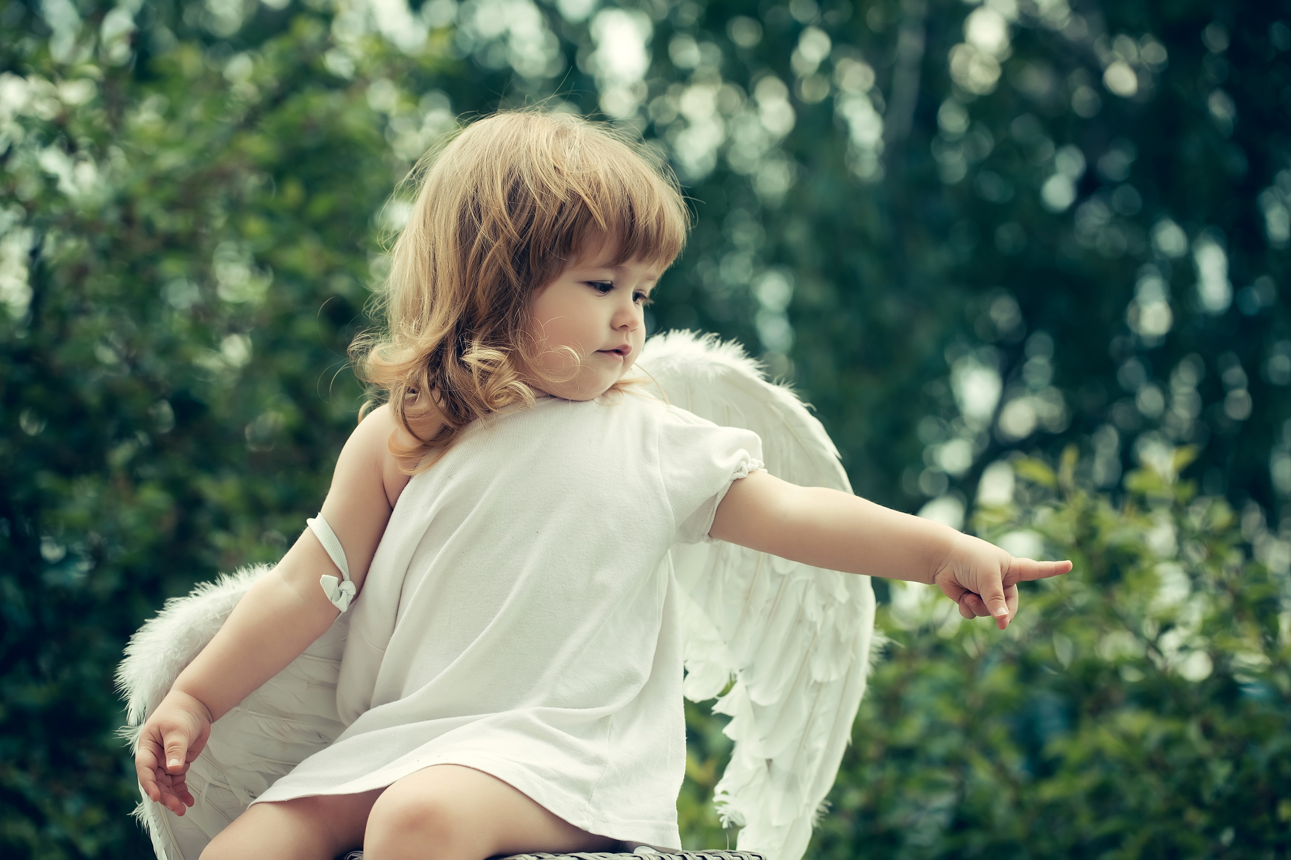 Little girl with angel wings HD Wallpaper