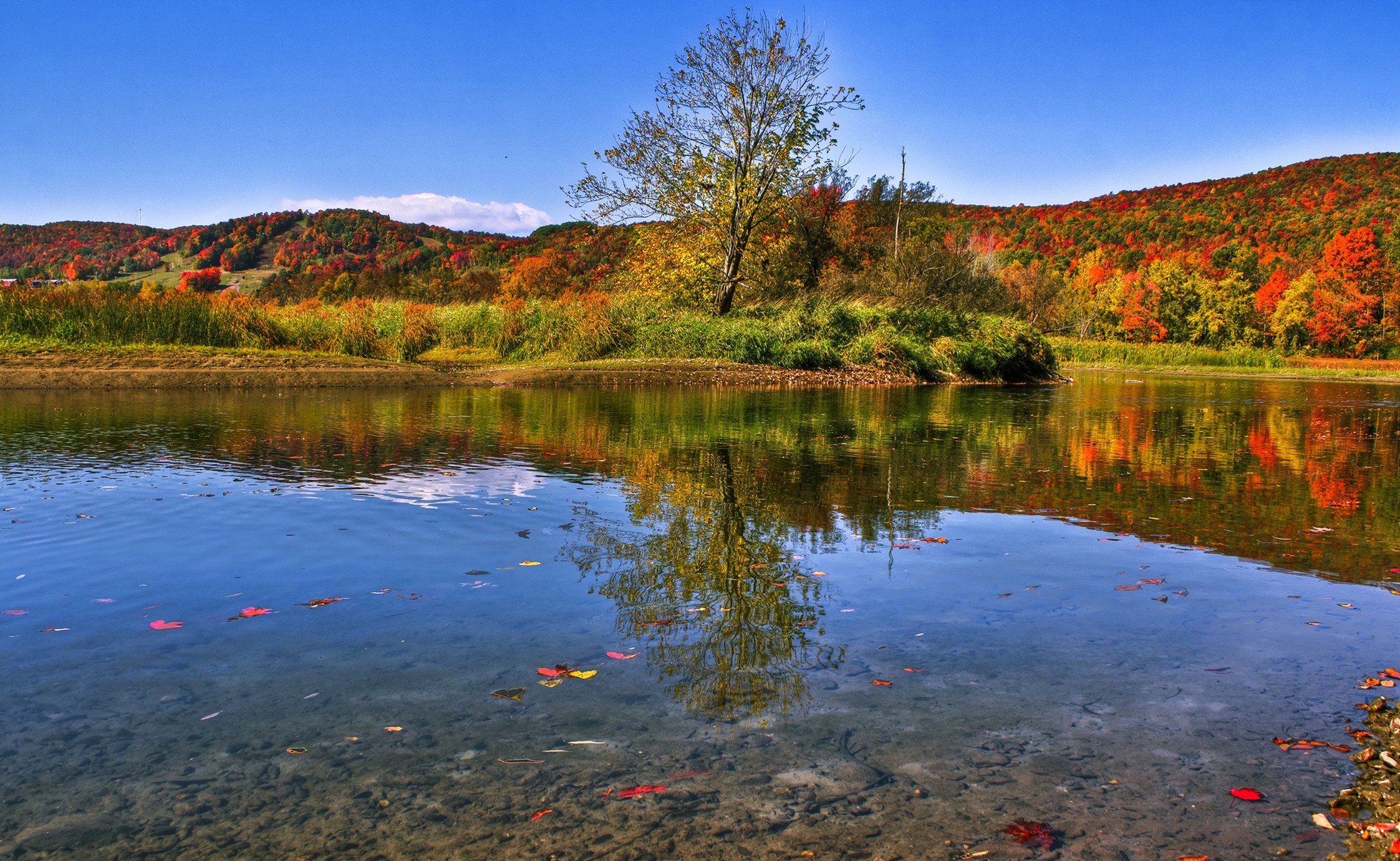 Lake reflection of autumn forest in Waterville, Quebec HD Wallpaper