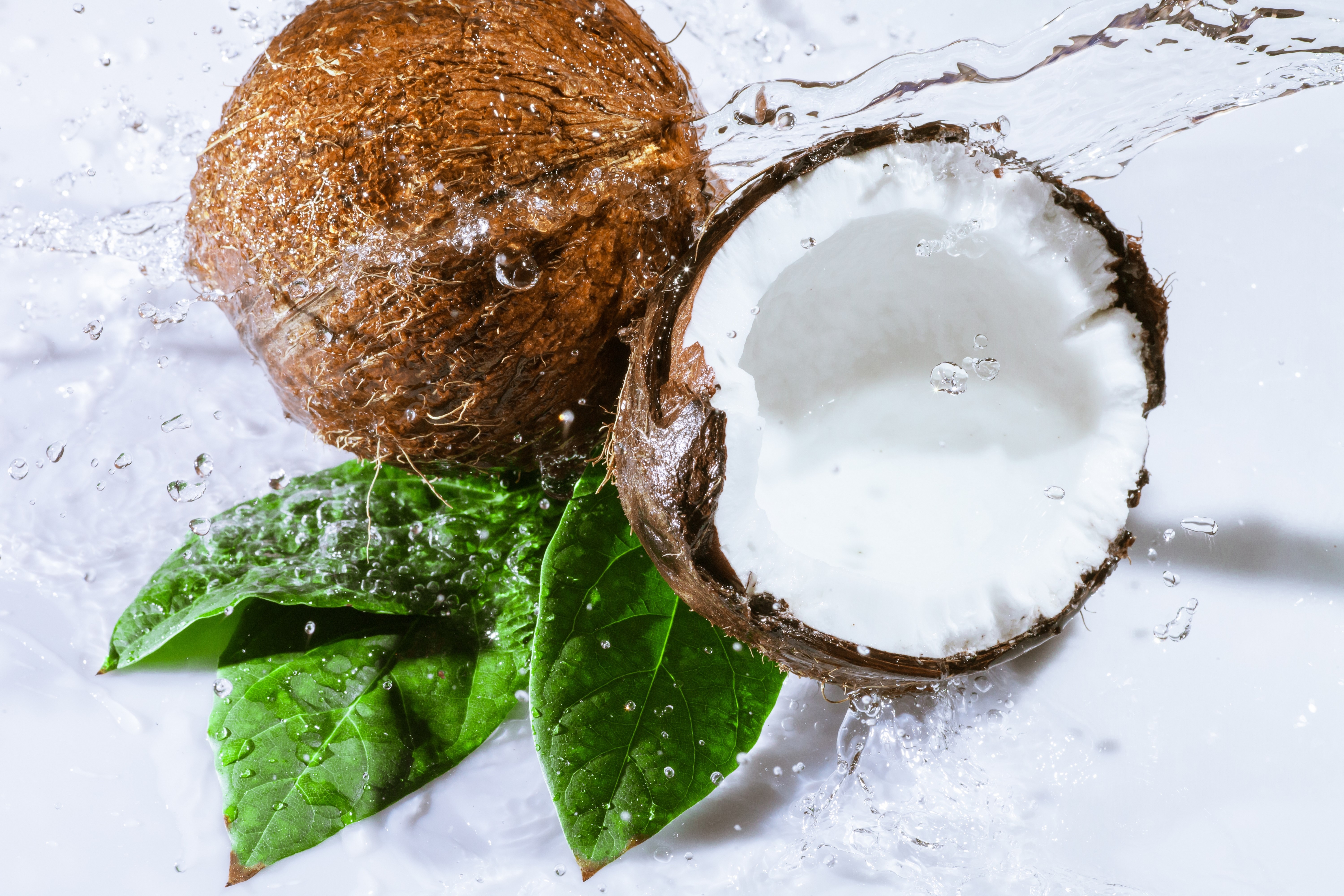 Whole and halved coconuts with water splashes and leaves HD Wallpaper