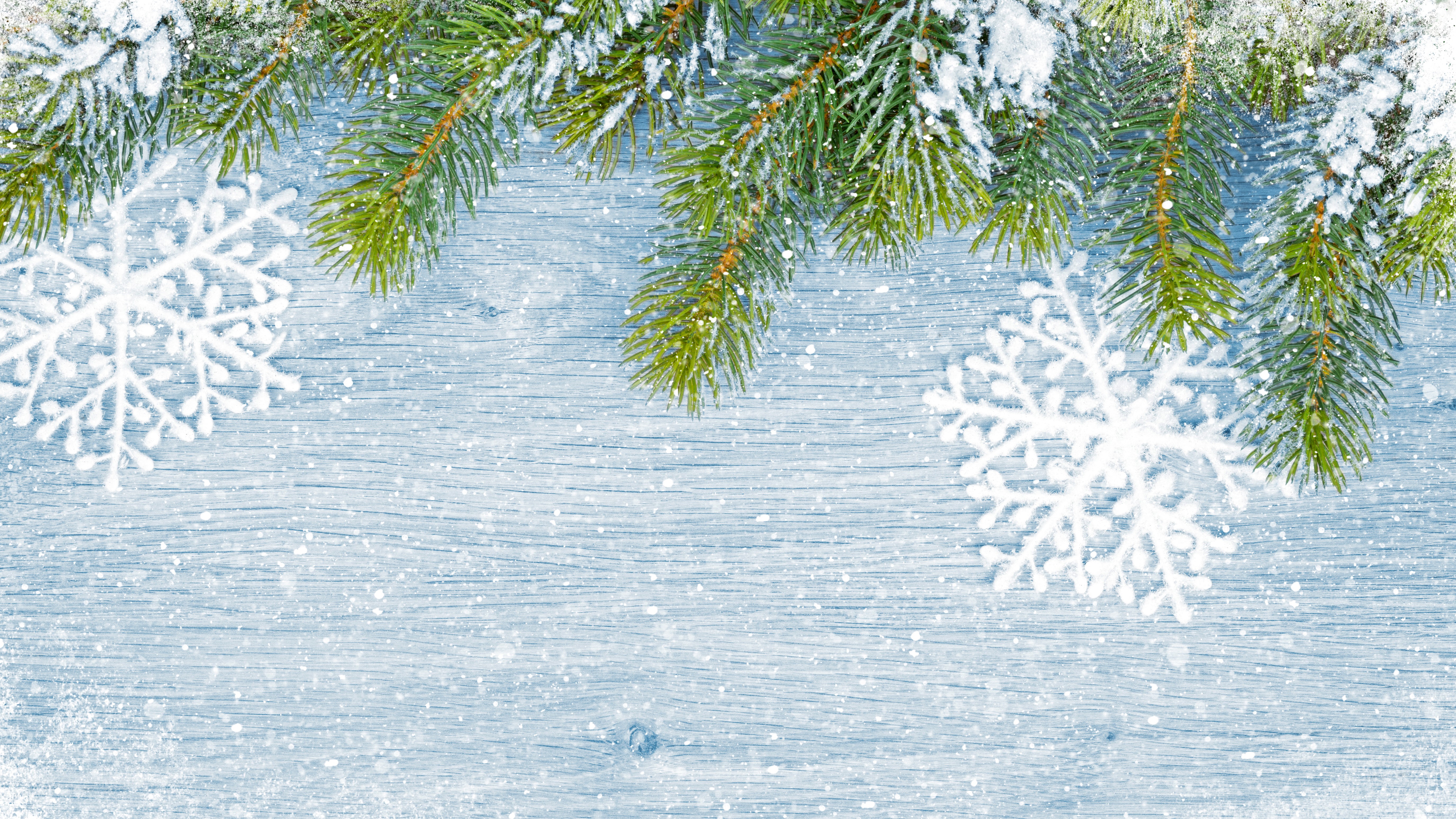 Winter Branches with Snowflakes on Wooden Background HD Wallpaper