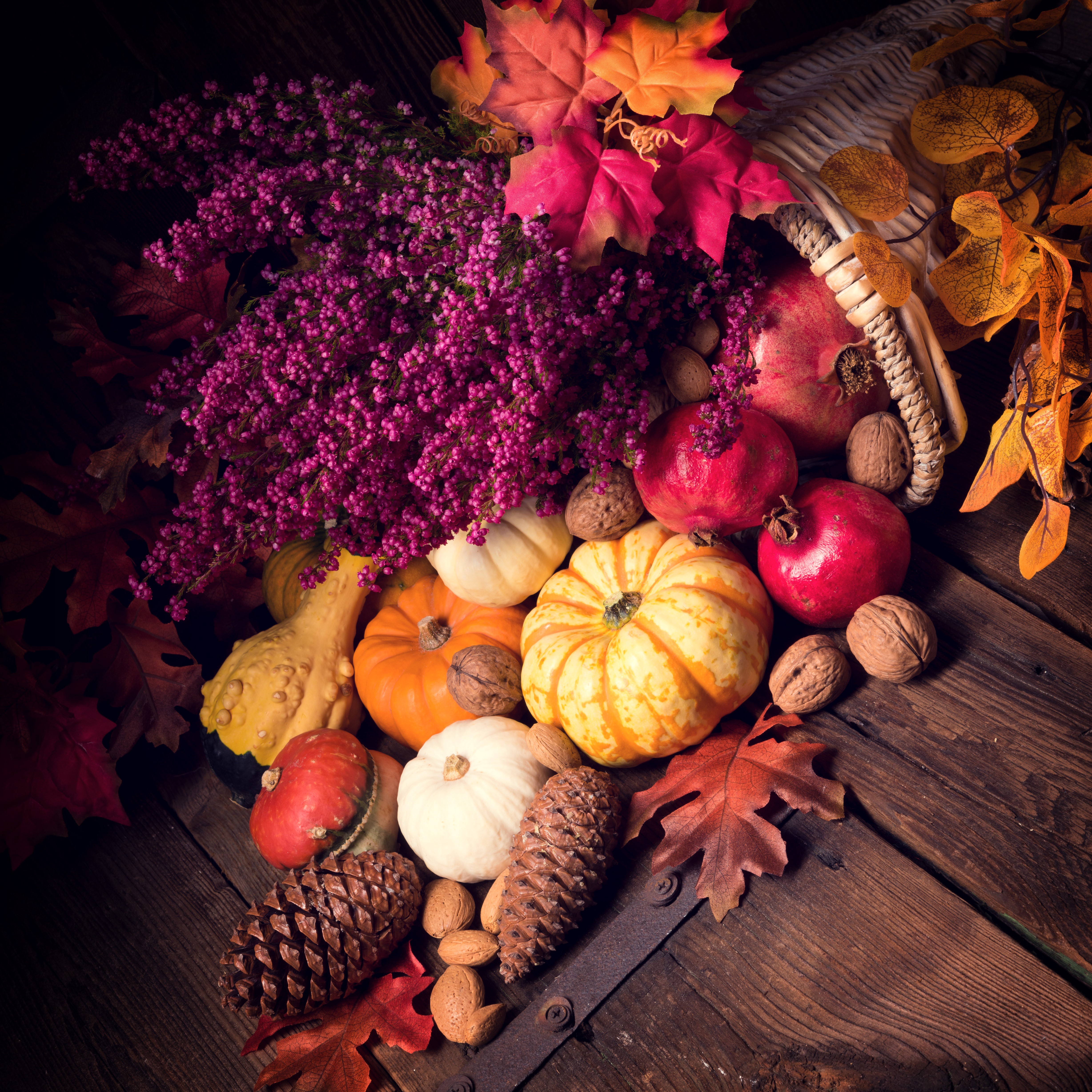 Autumn harvest arrangement with pumpkins, pomegranates, and heather HD Wallpaper