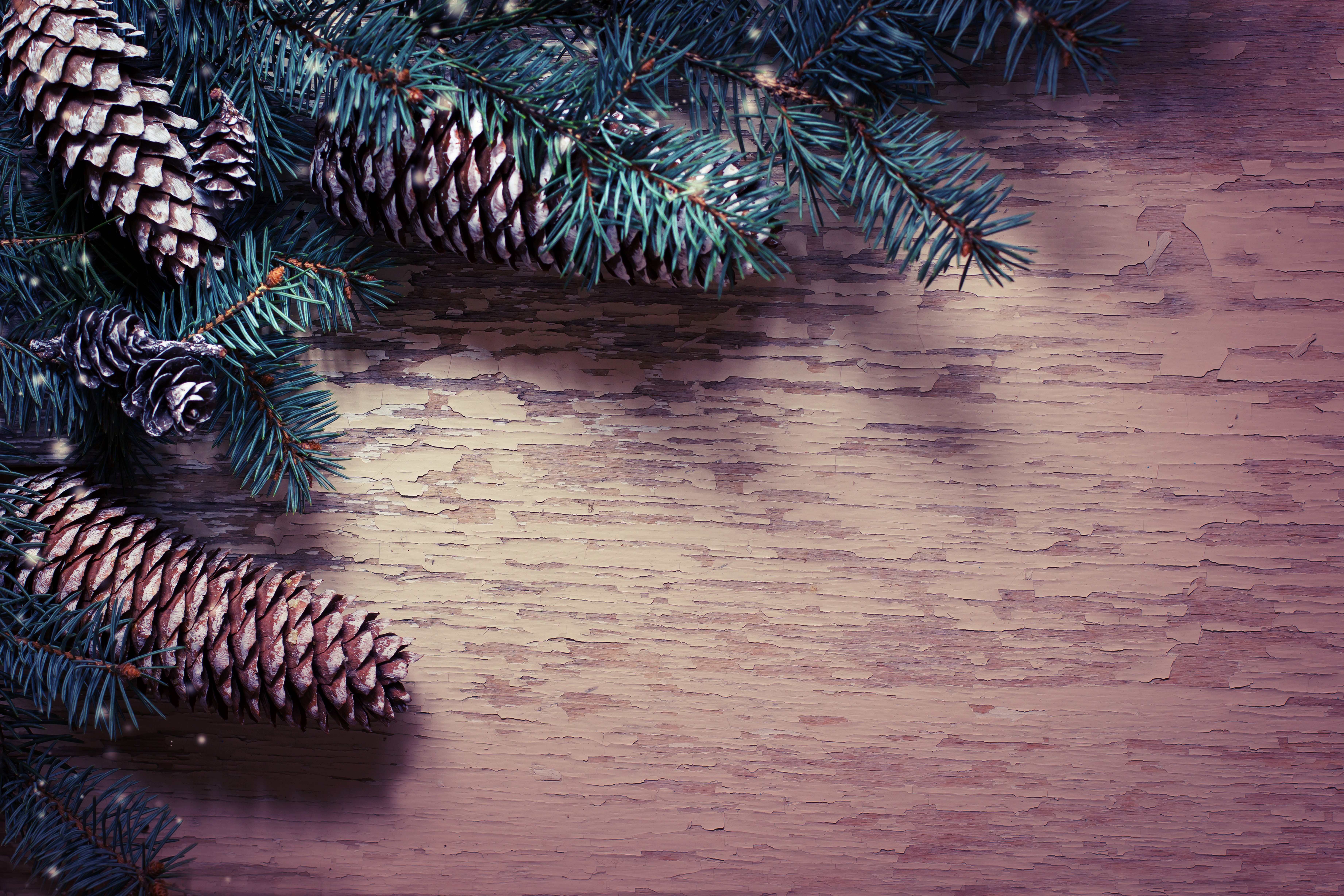 Christmas Pine Cones and Branches on Wood HD Wallpaper