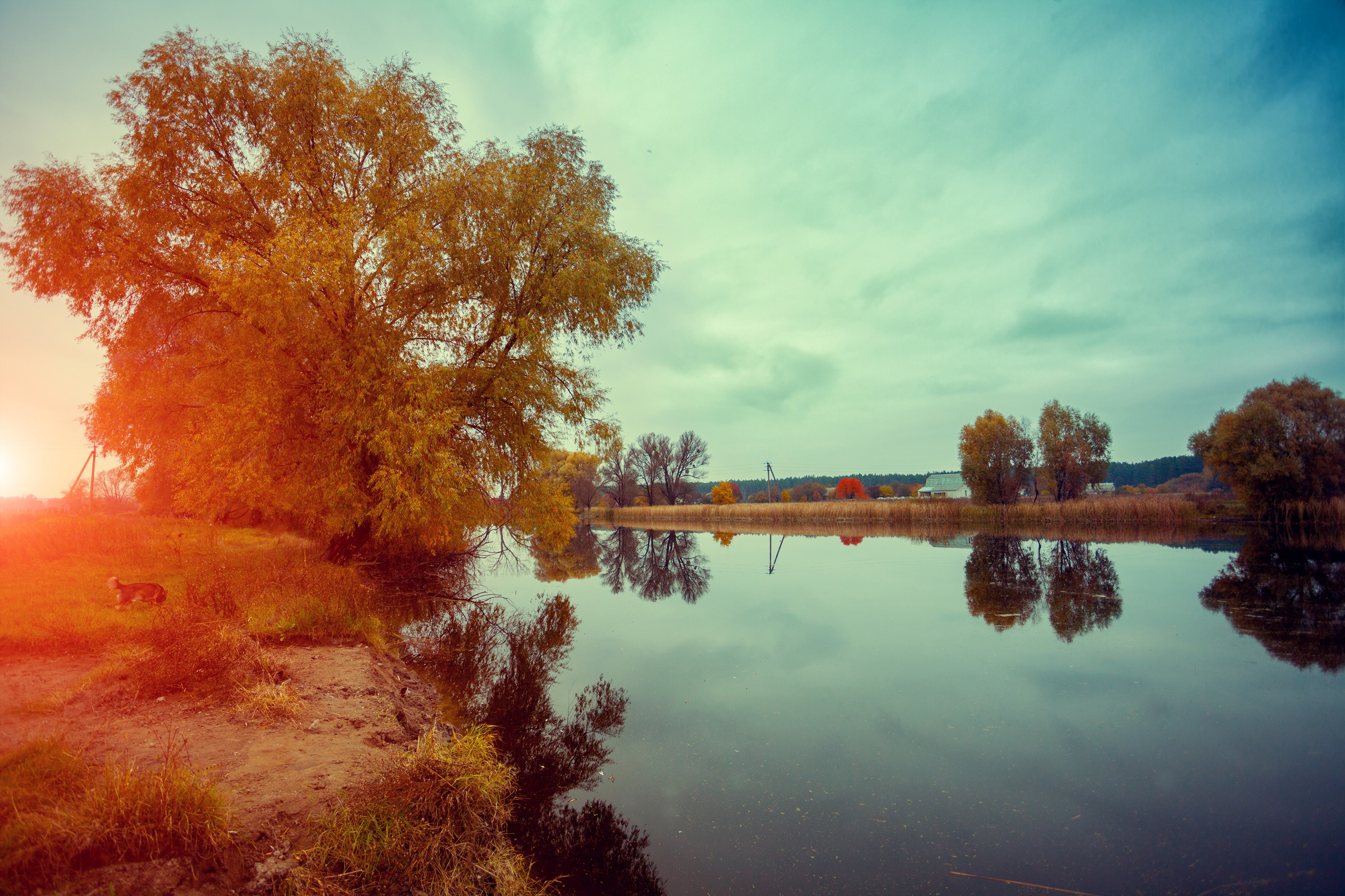 Autumn lake with trees and reflections at sunset HD Wallpaper
