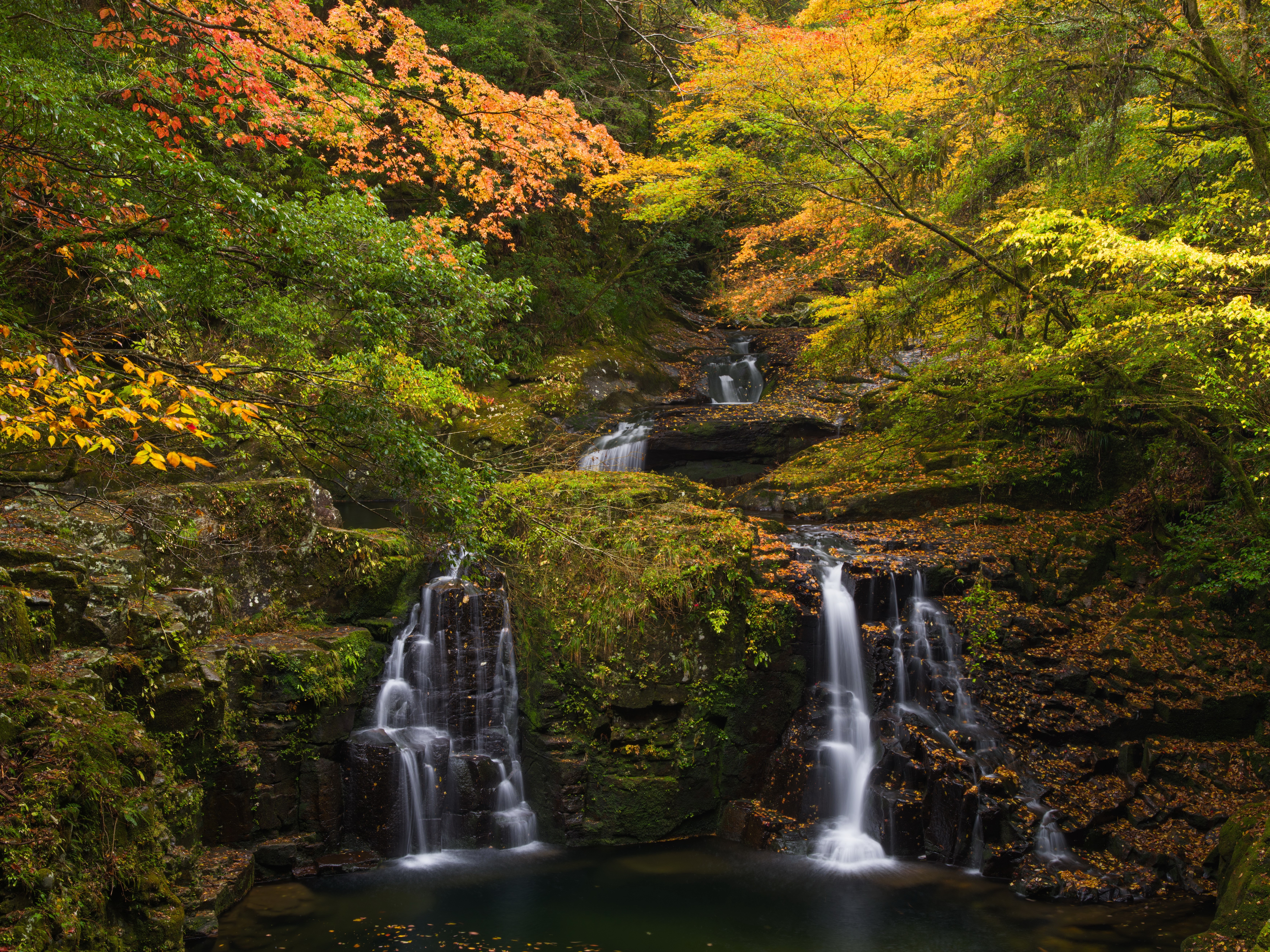Autumn Waterfalls in a Forest HD Wallpaper