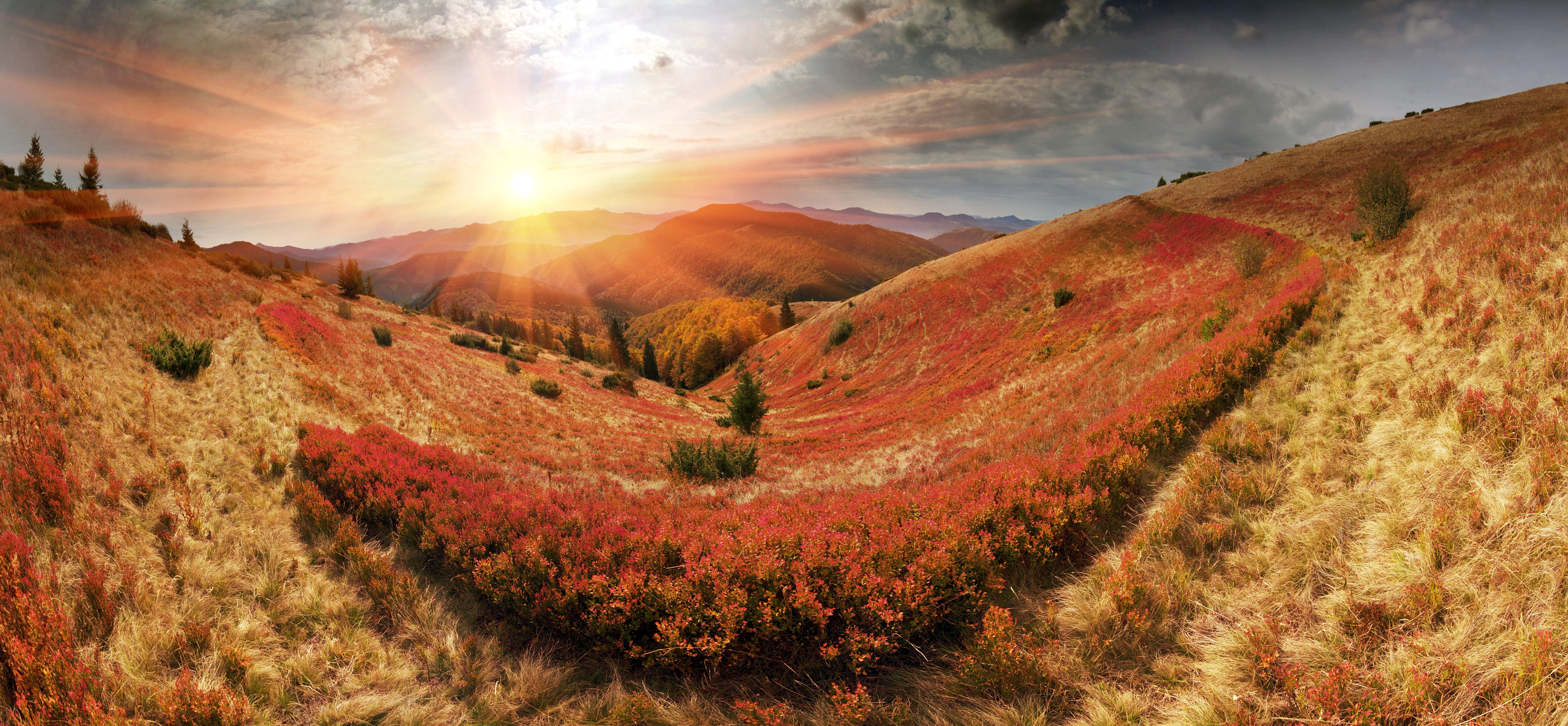 Carpathian Mountains at Sunrise with Red Foliage HD Wallpaper