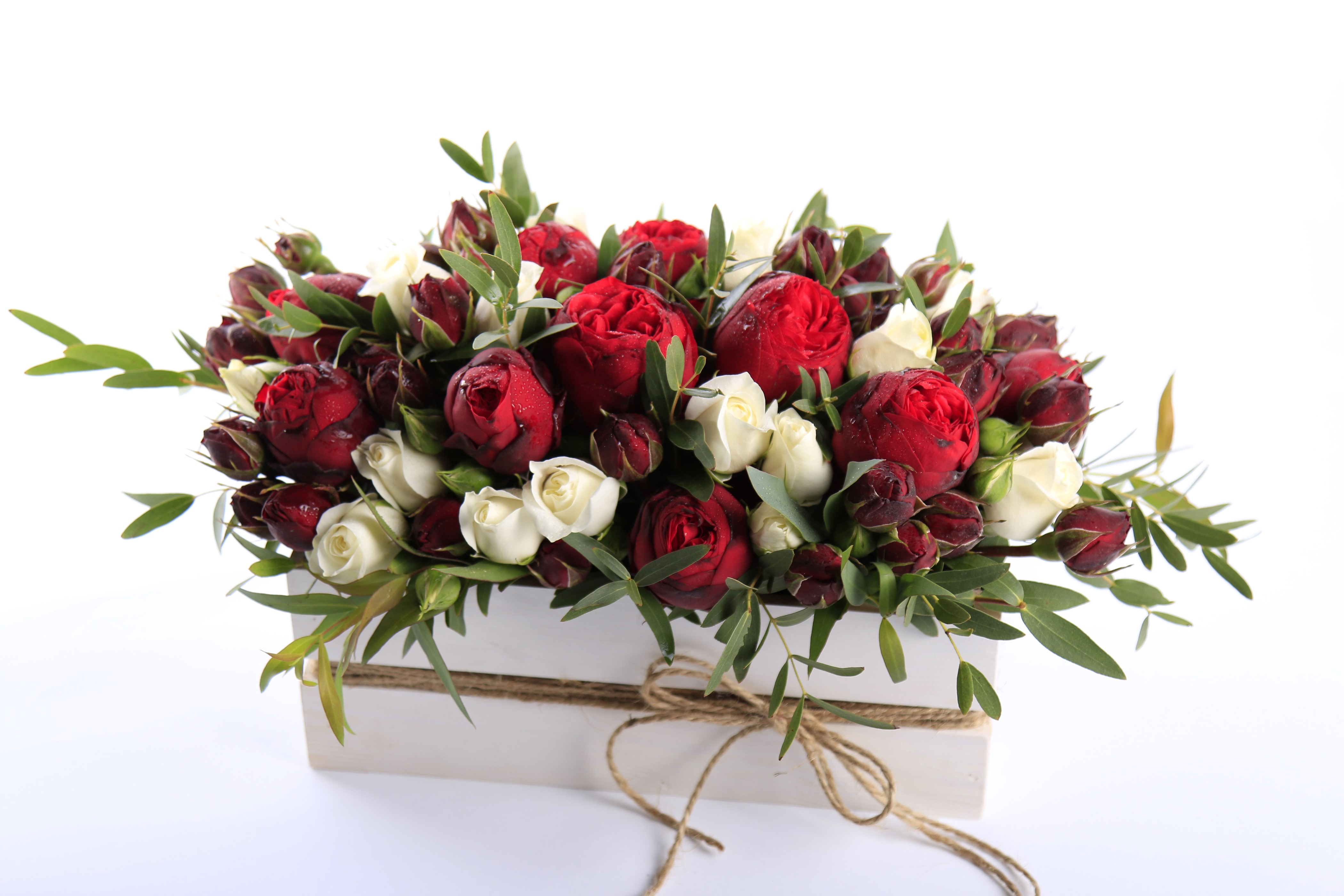Red and white roses in a wooden box HD Wallpaper