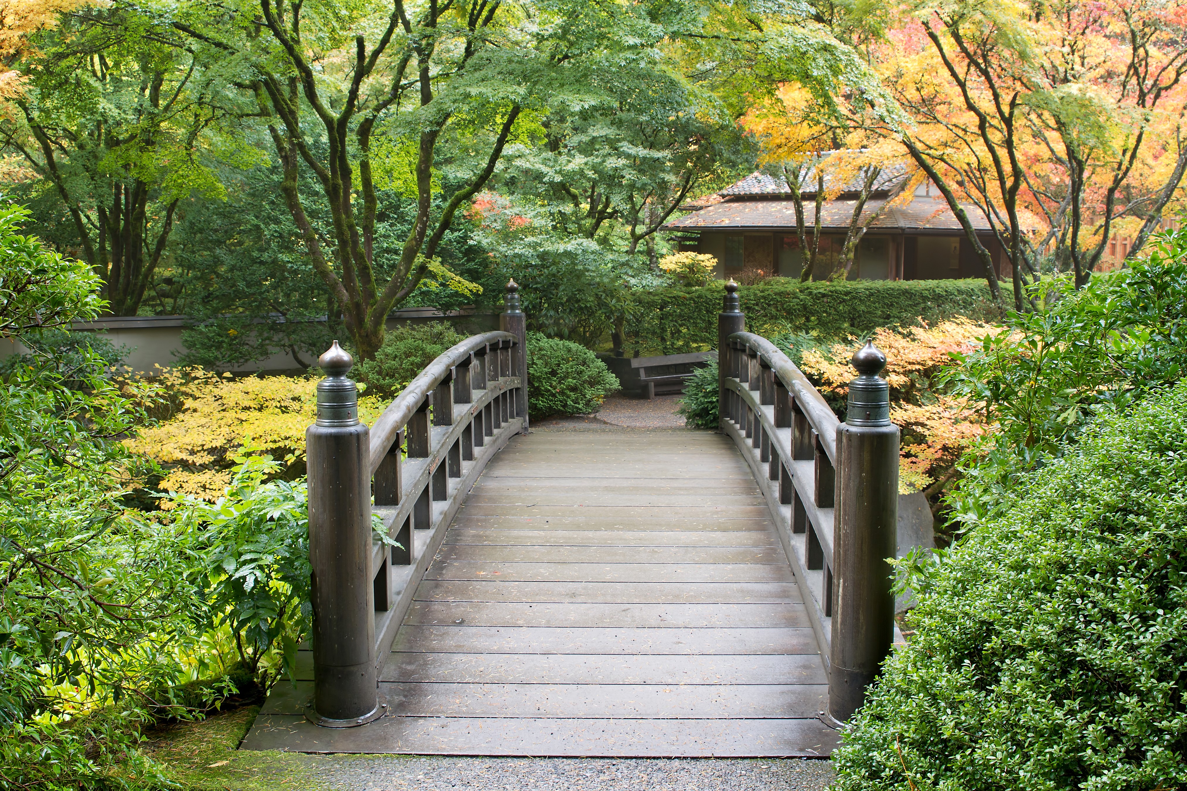 Wooden bridge in a Japanese garden with autumn foliage HD Wallpaper