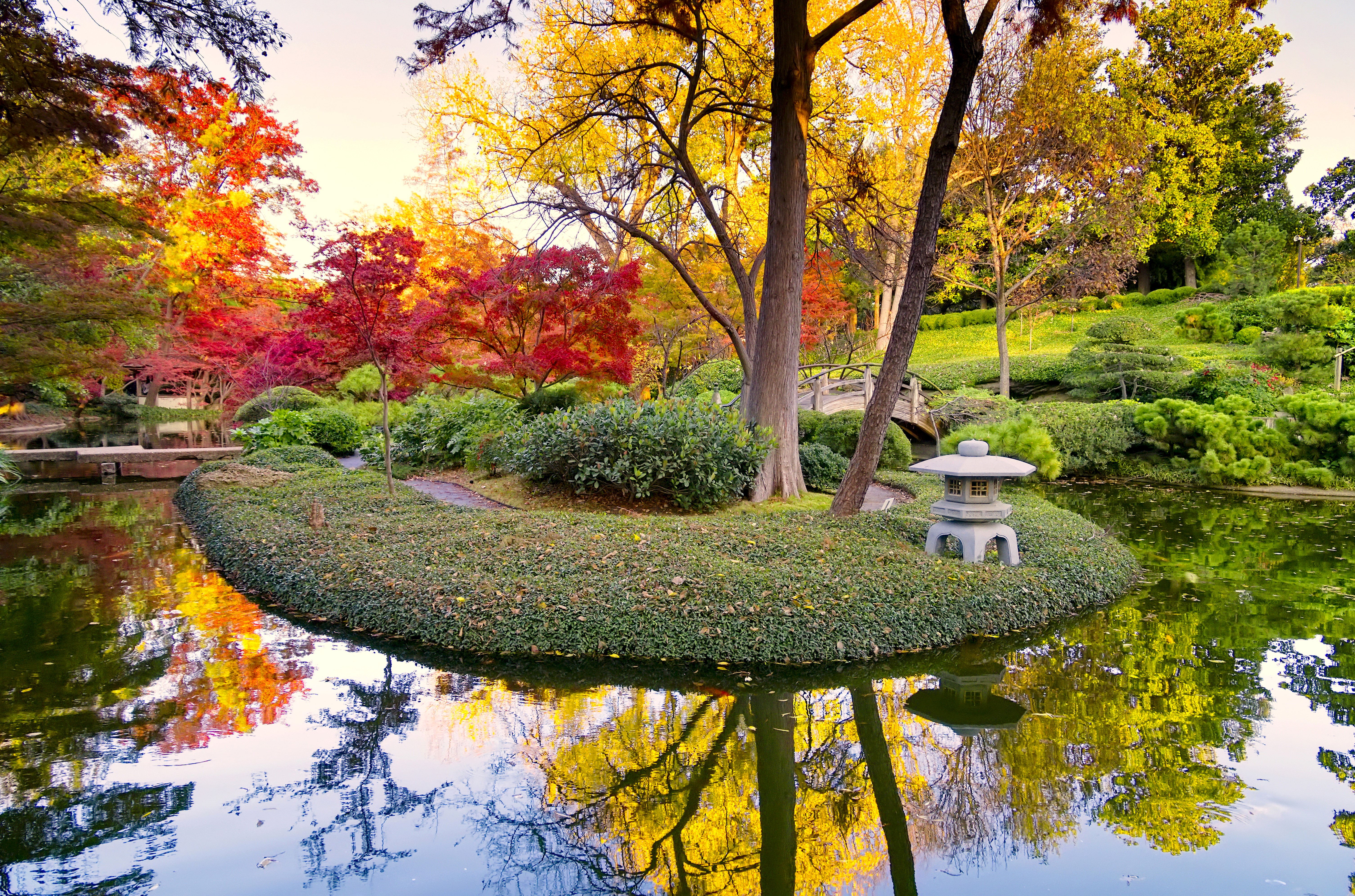 Autumn park with pond and trees HD Wallpaper