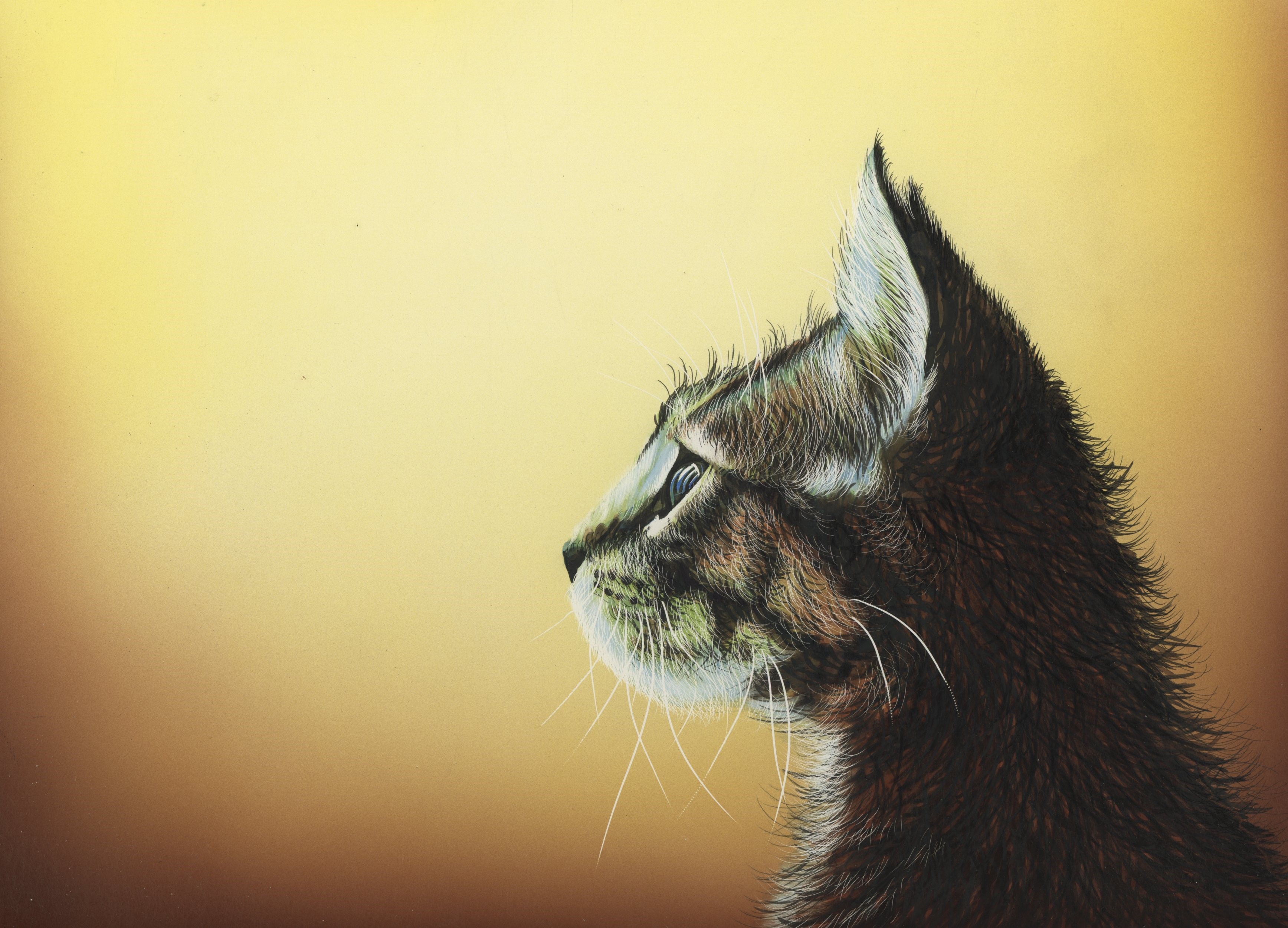 Painting of a cat's head HD Wallpaper