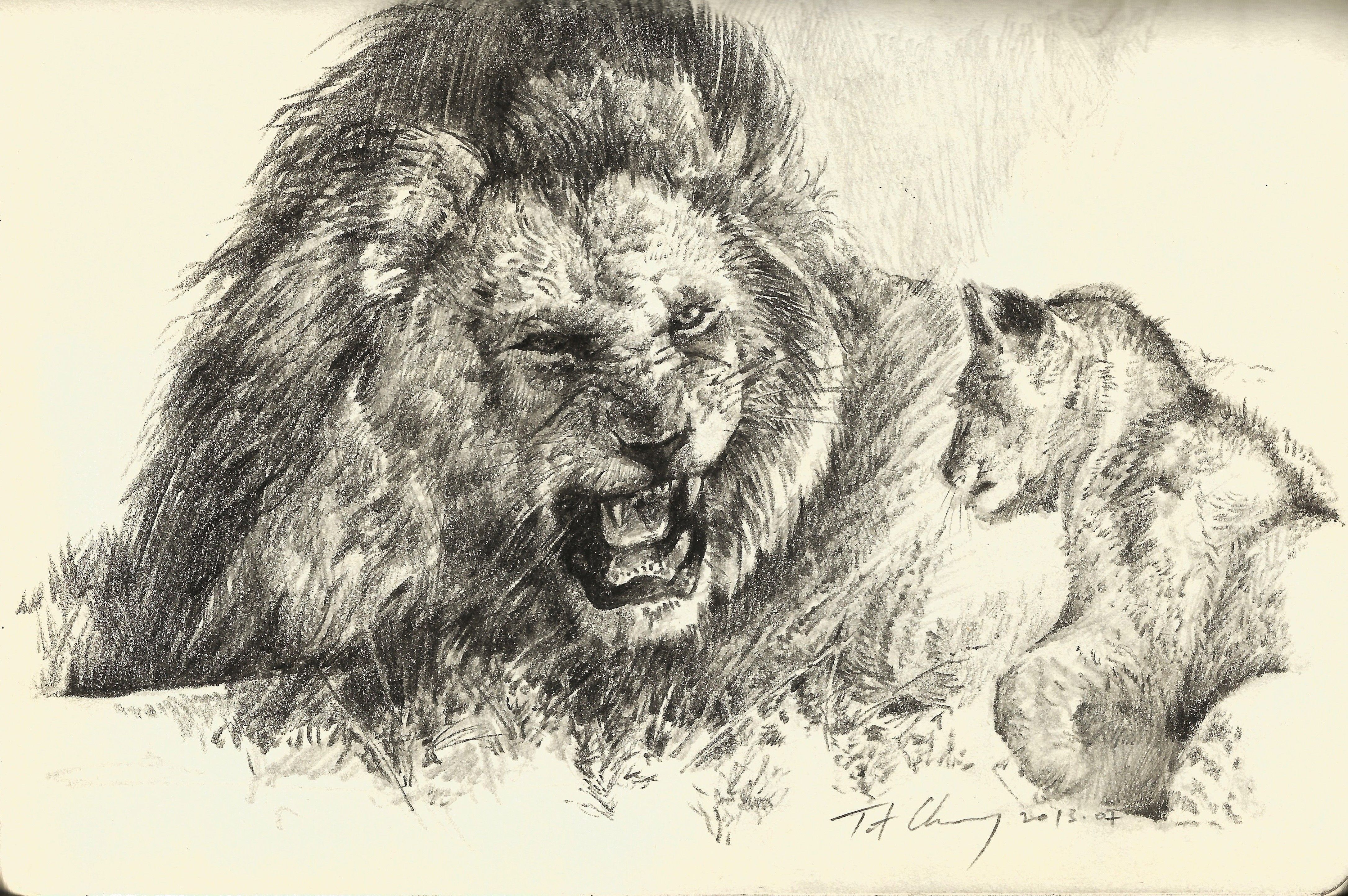 Lion and Cub Sketch HD Wallpaper