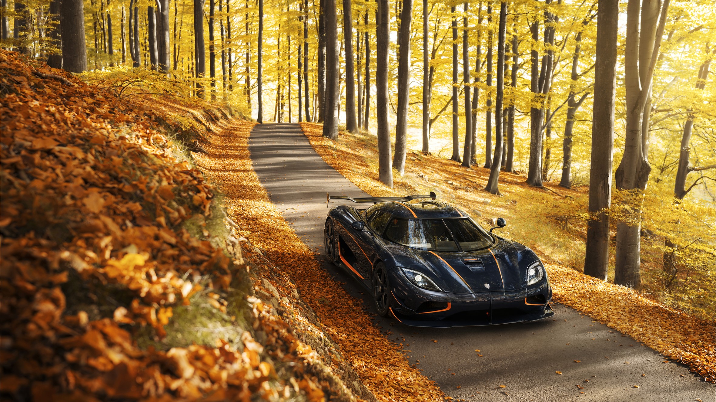 Koenigsegg Agera RS in Autumn Forest HD Wallpaper