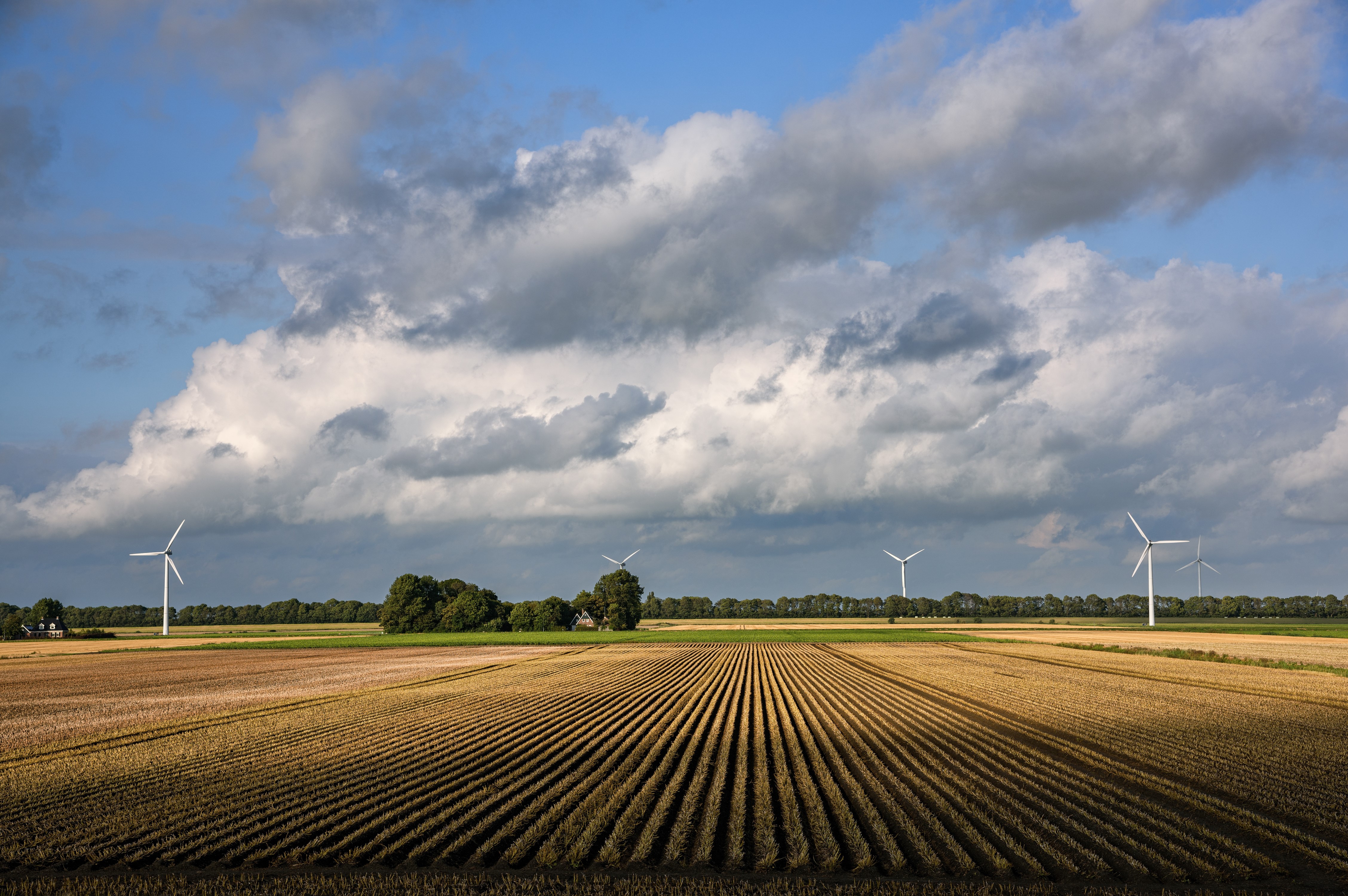 Windmills in fields under cloudy sky in Netherlands HD Wallpaper