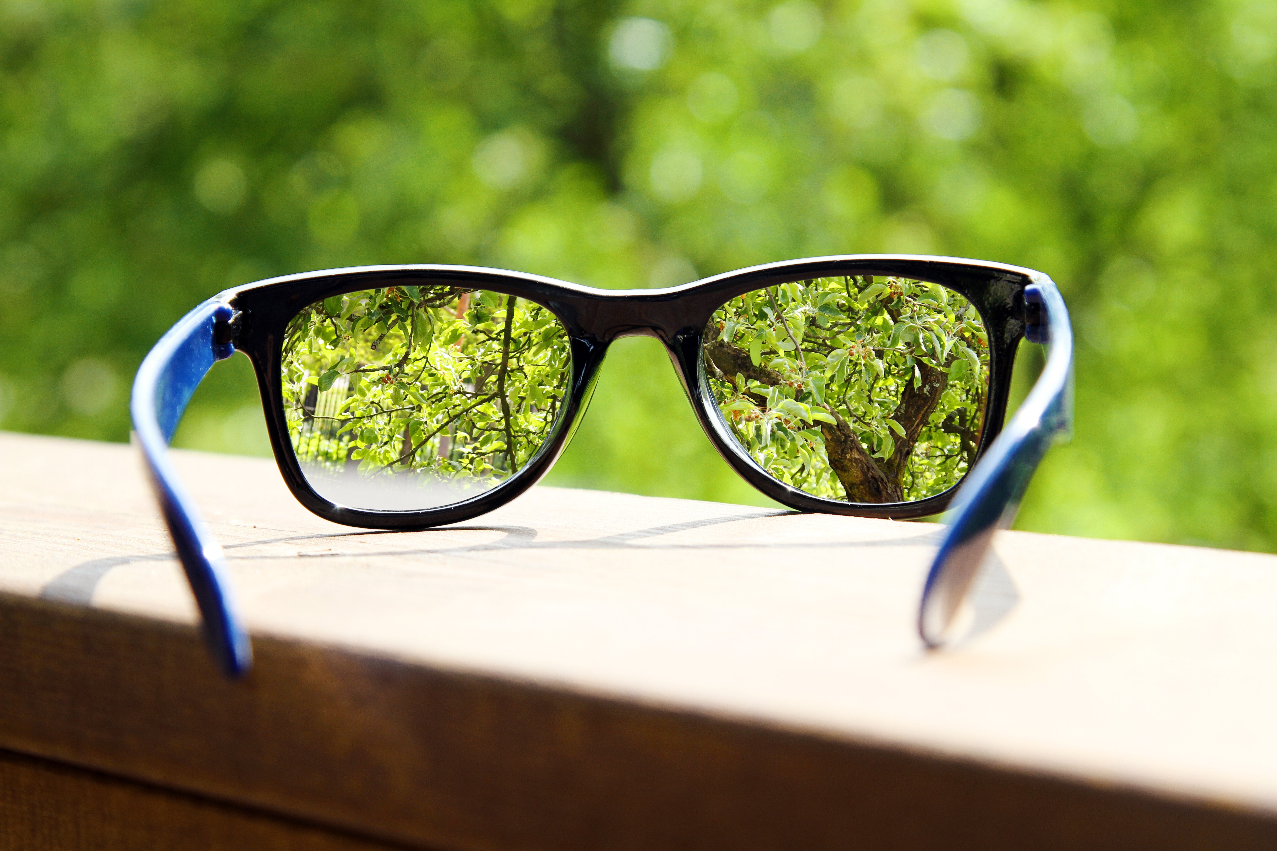 Close-up of eyeglasses reflecting trees HD Wallpaper