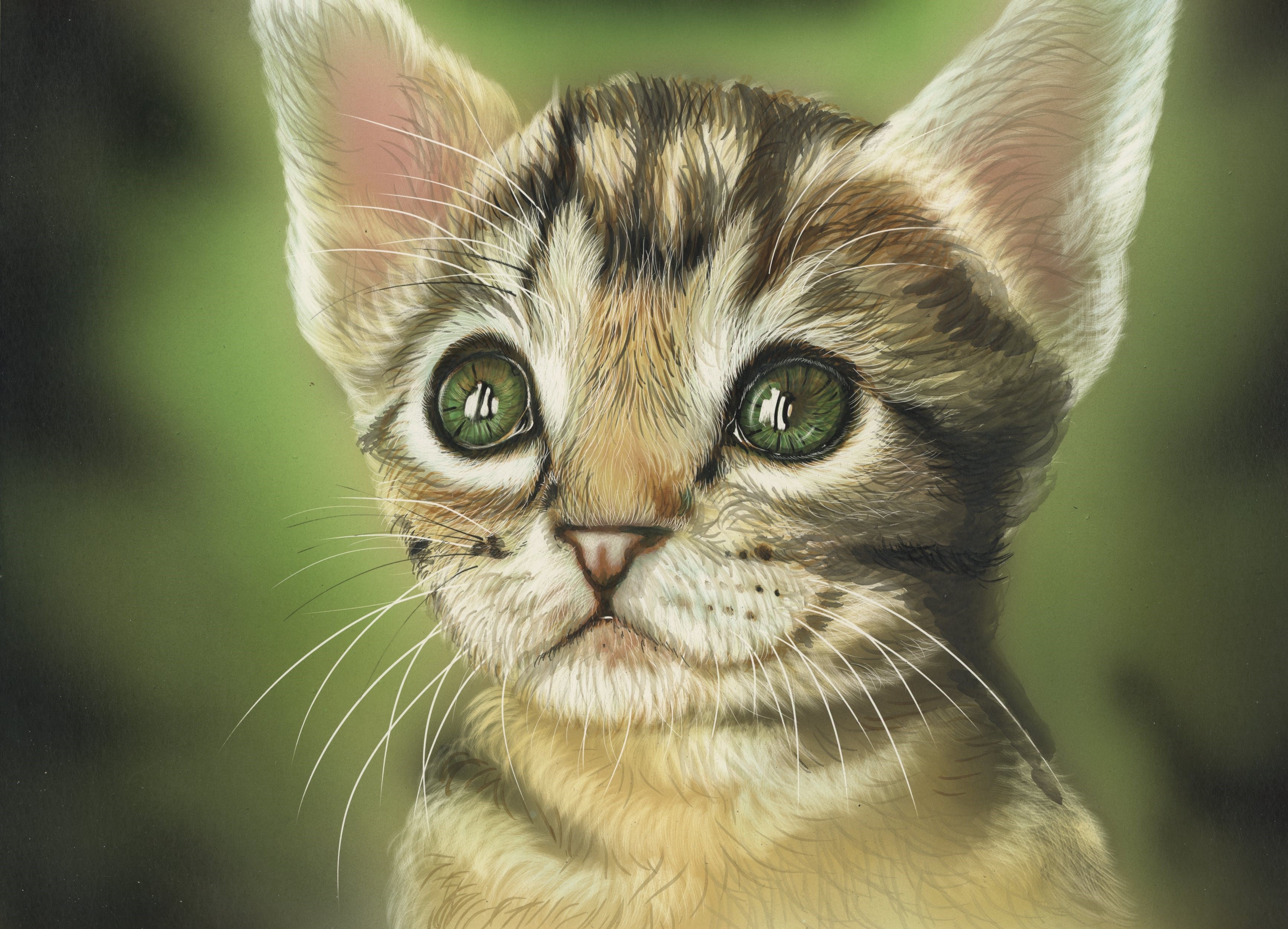 Close-up painting of a kitten's face HD Wallpaper