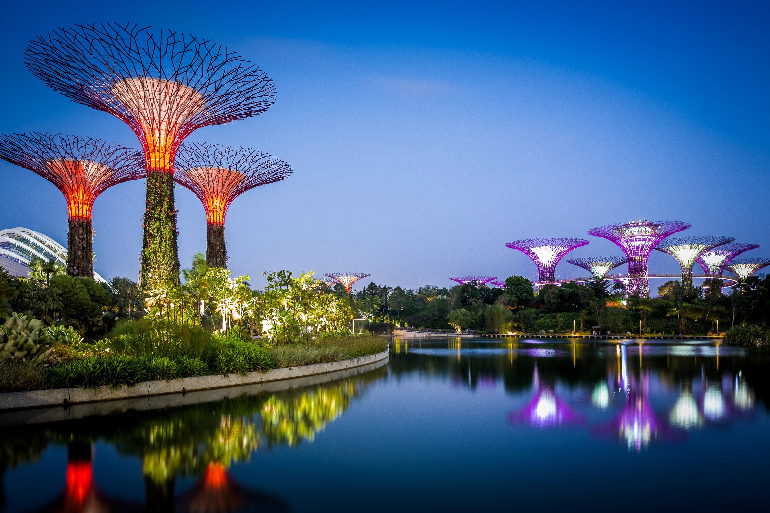 Gardens by the Bay Singapore at dusk with illuminated Supertrees HD Wallpaper