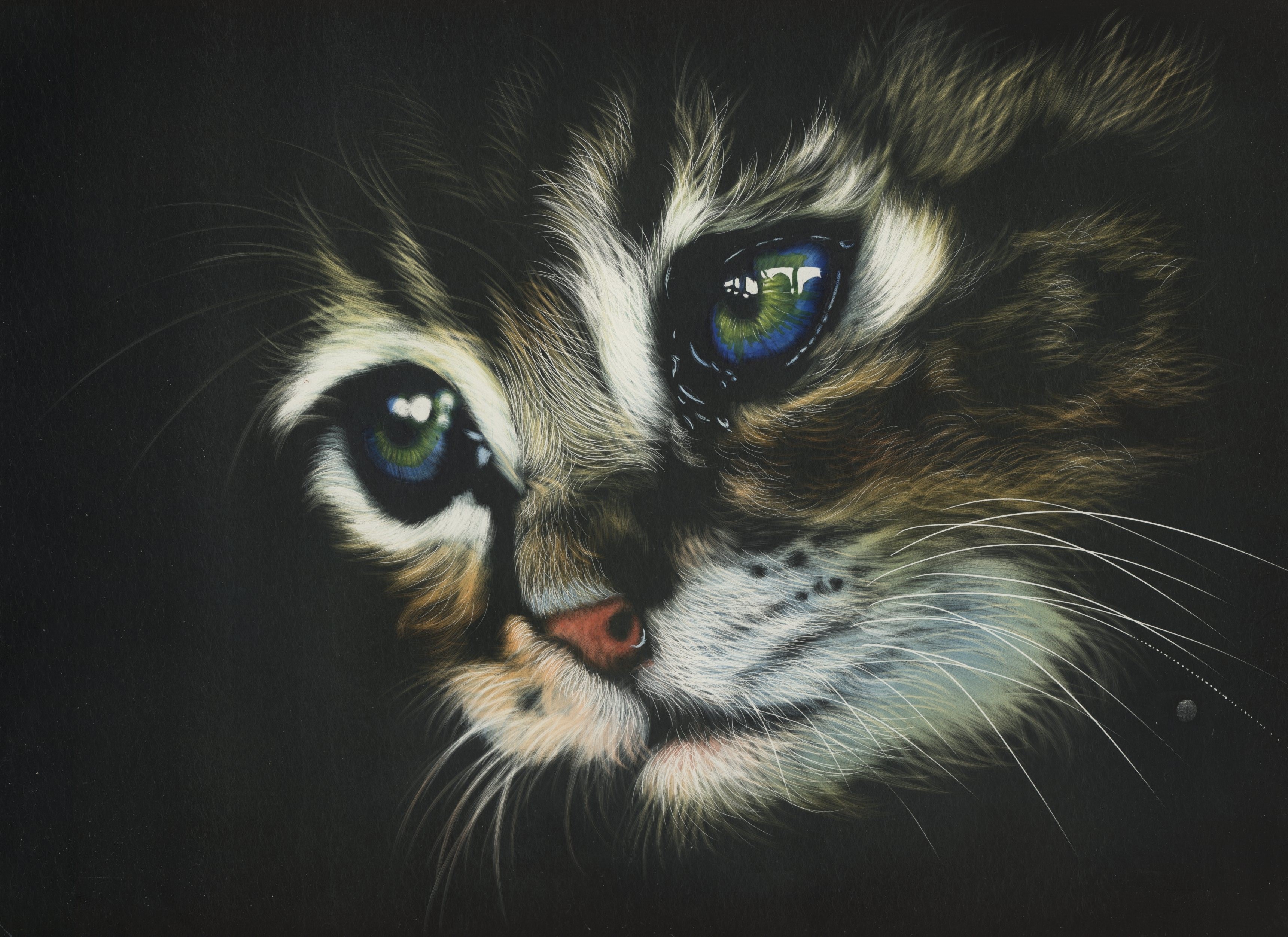 Close-up painting of a kitten's face and eyes HD Wallpaper