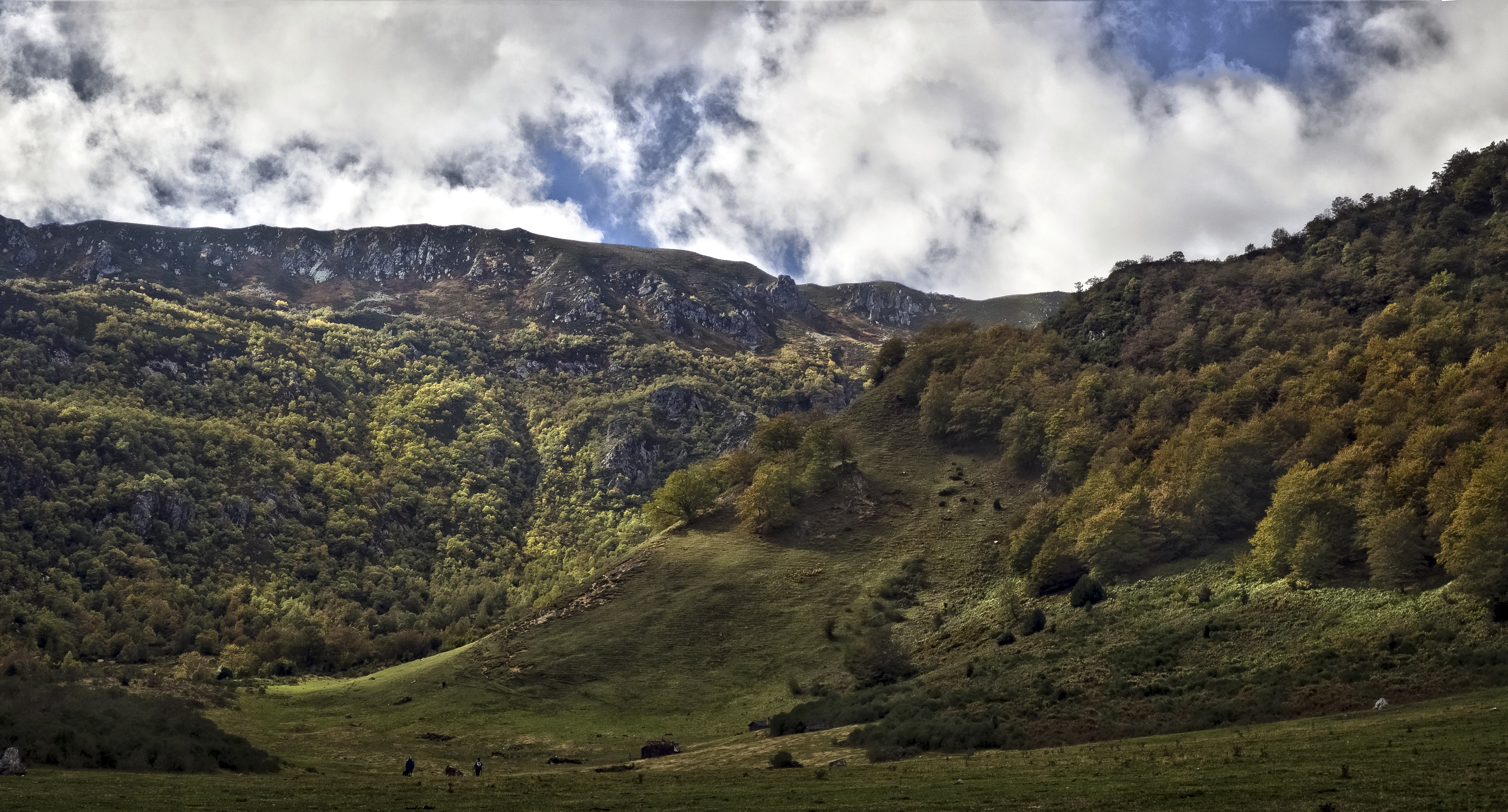 Mountains and Forests in Asturias, Spain HD Wallpaper