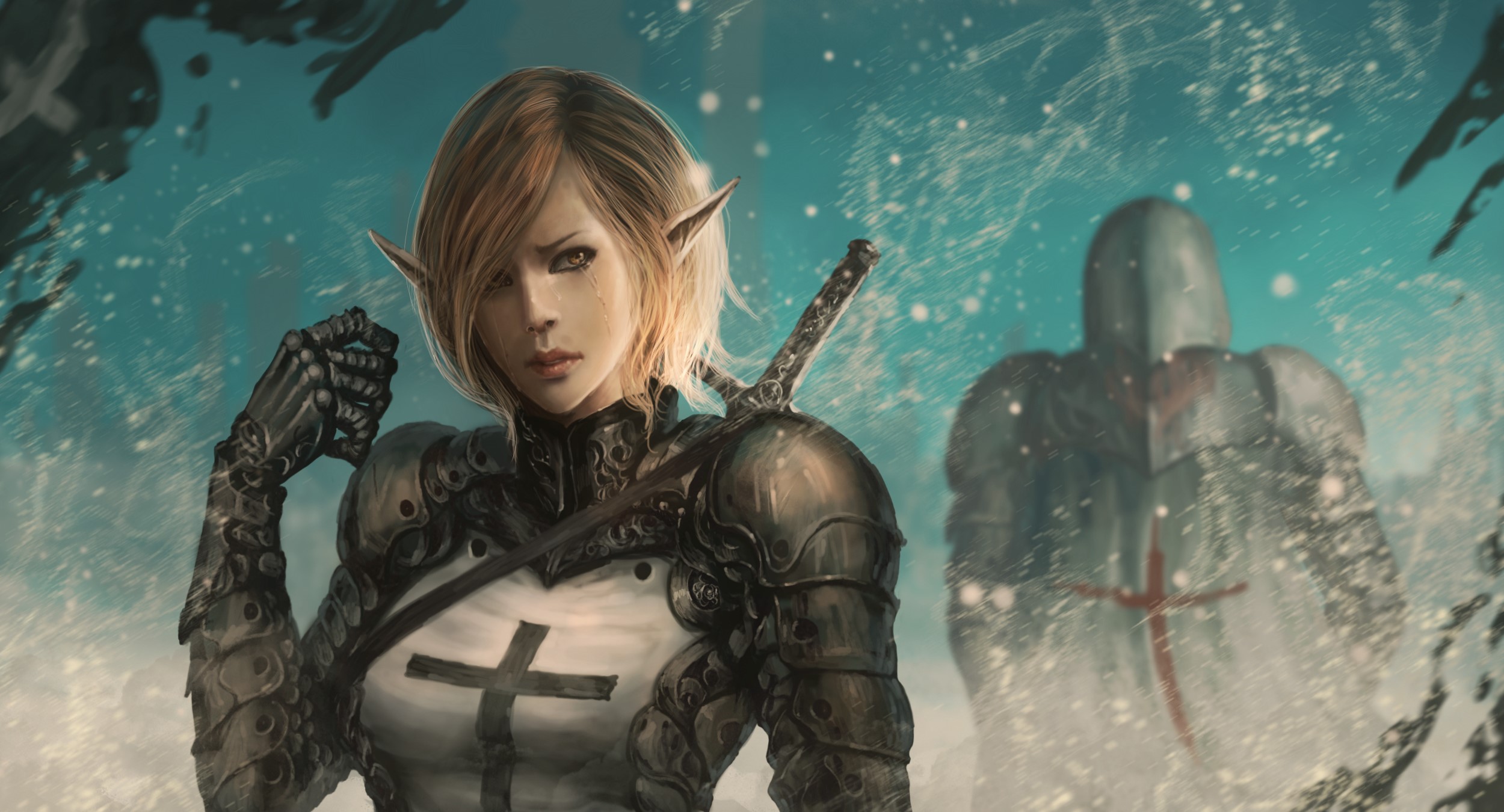 Elf warrior with sword and knight in armor HD Wallpaper
