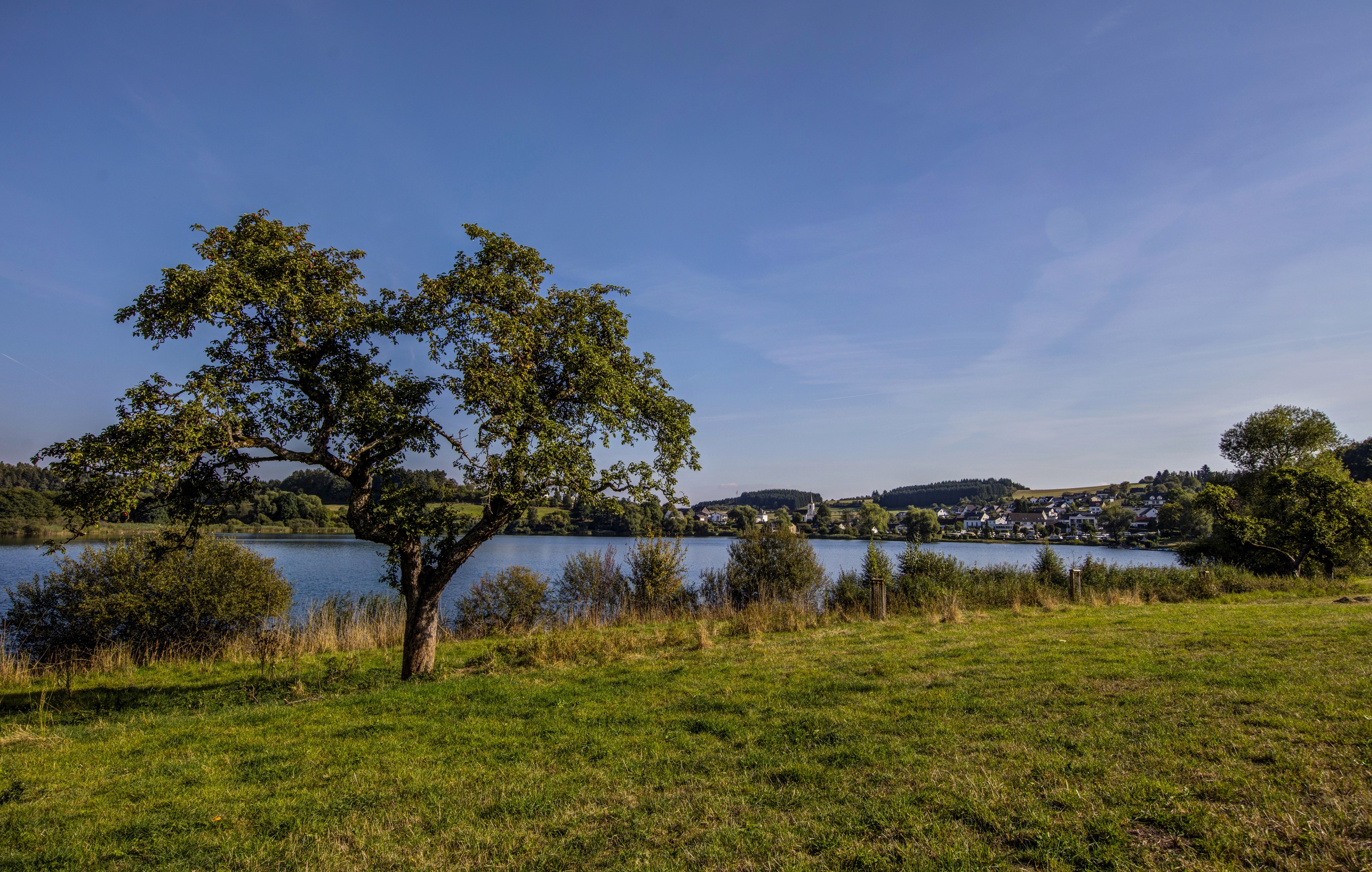 4K Schalkenmehrener Germany Trees River HD Wallpaper