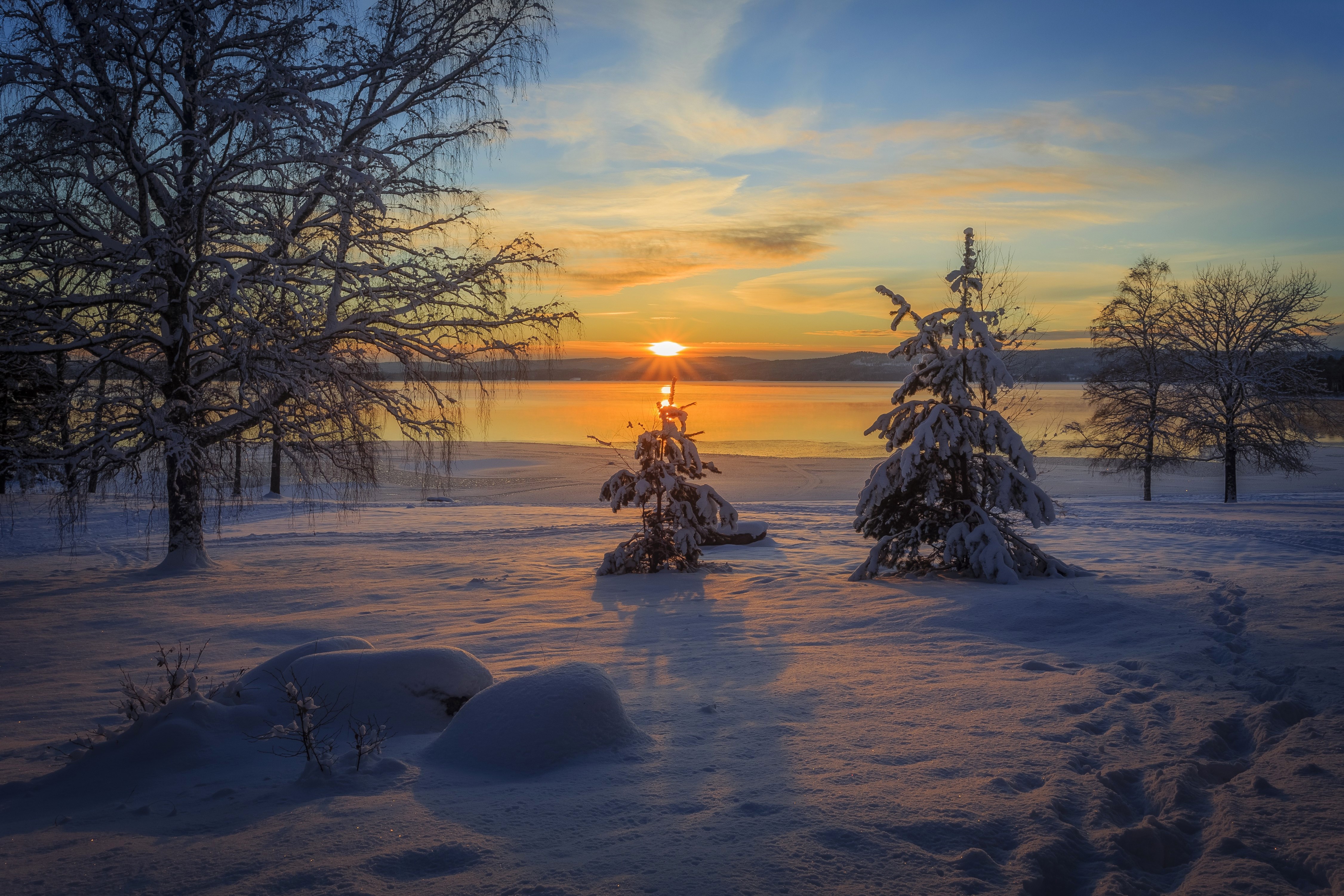 4K Winter Sunrise Over Snowy Landscape with Trees HD Wallpaper