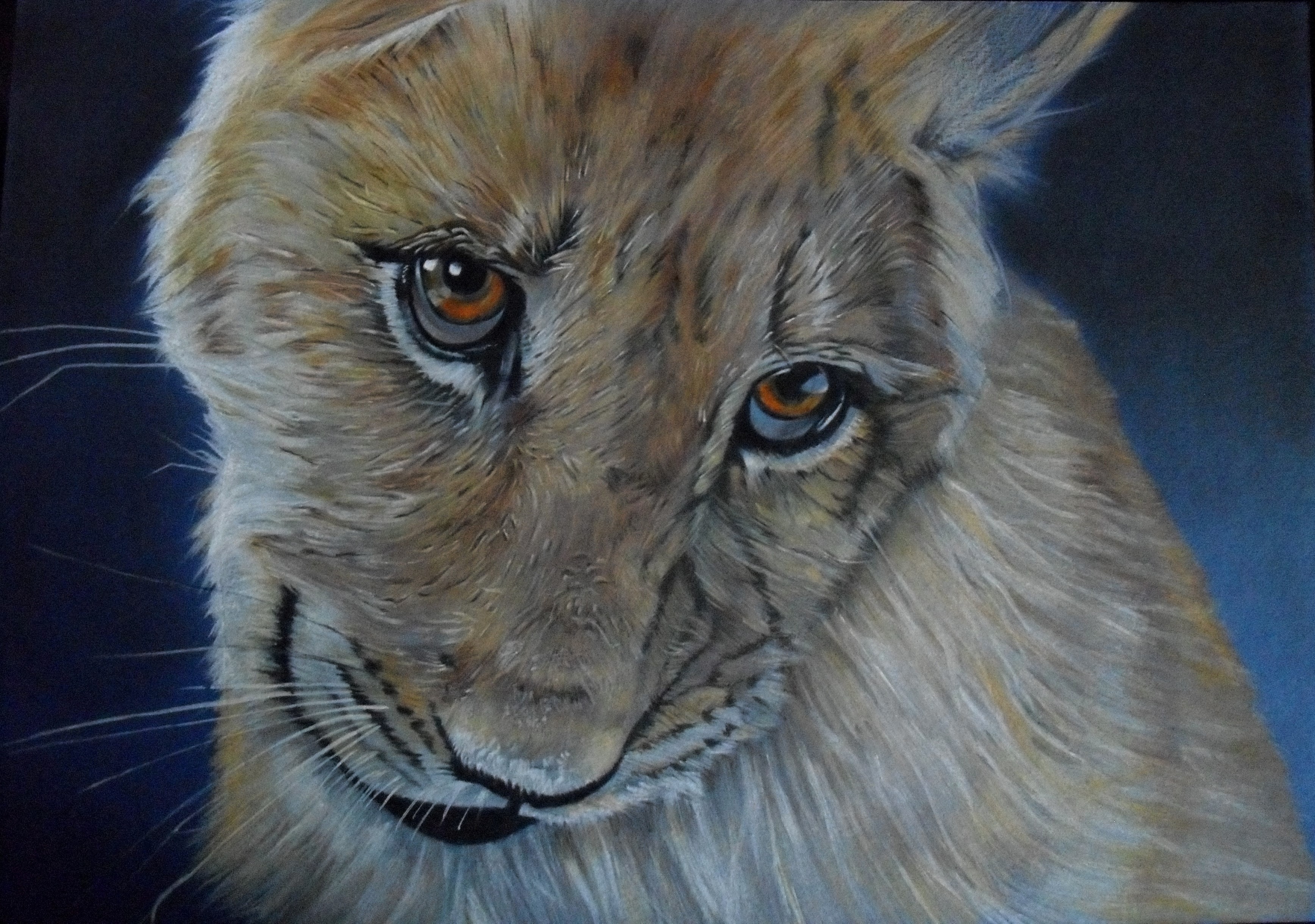 Painting of a lynx cub's face HD Wallpaper