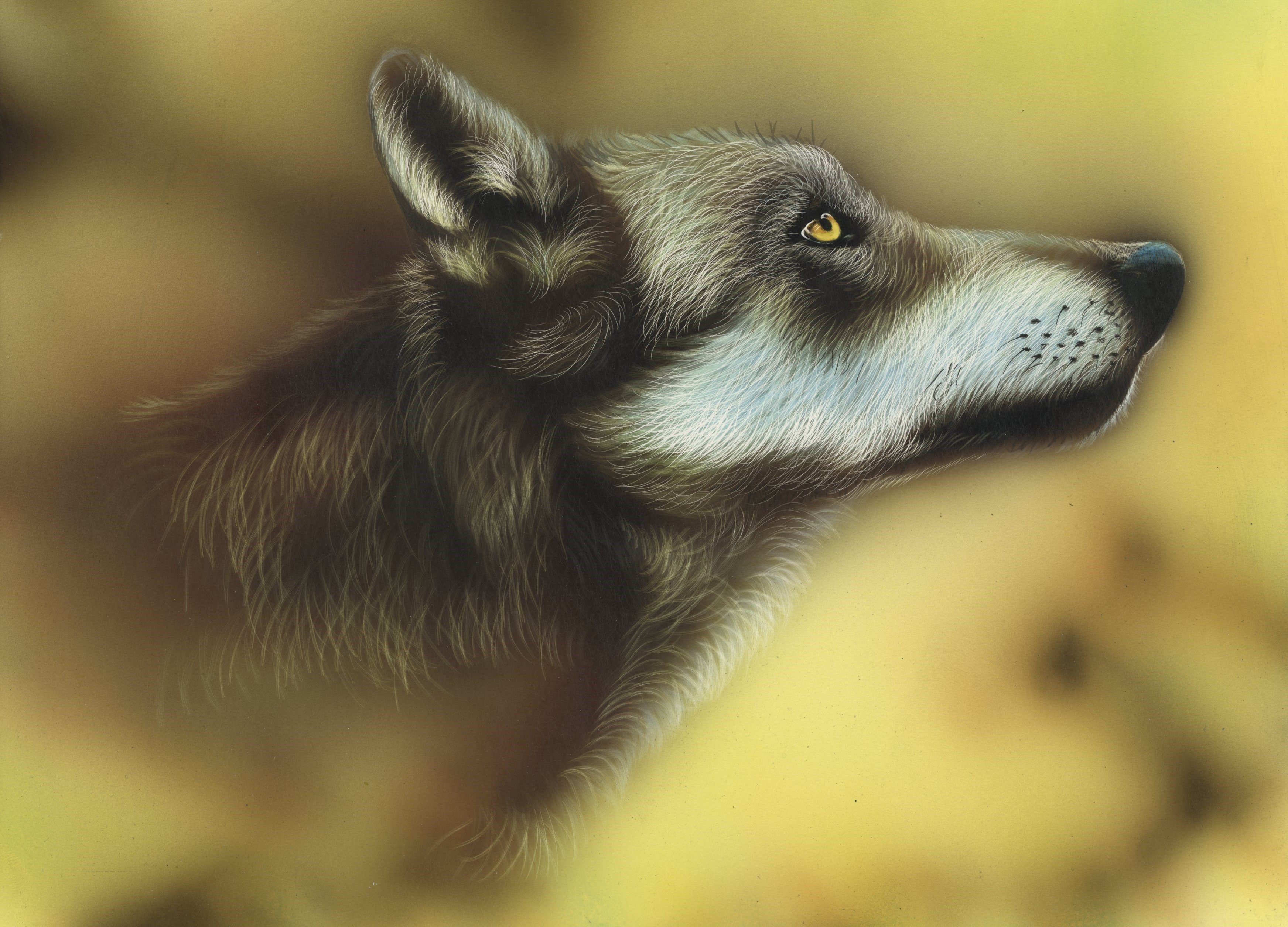 Painting of a wolf's head HD Wallpaper