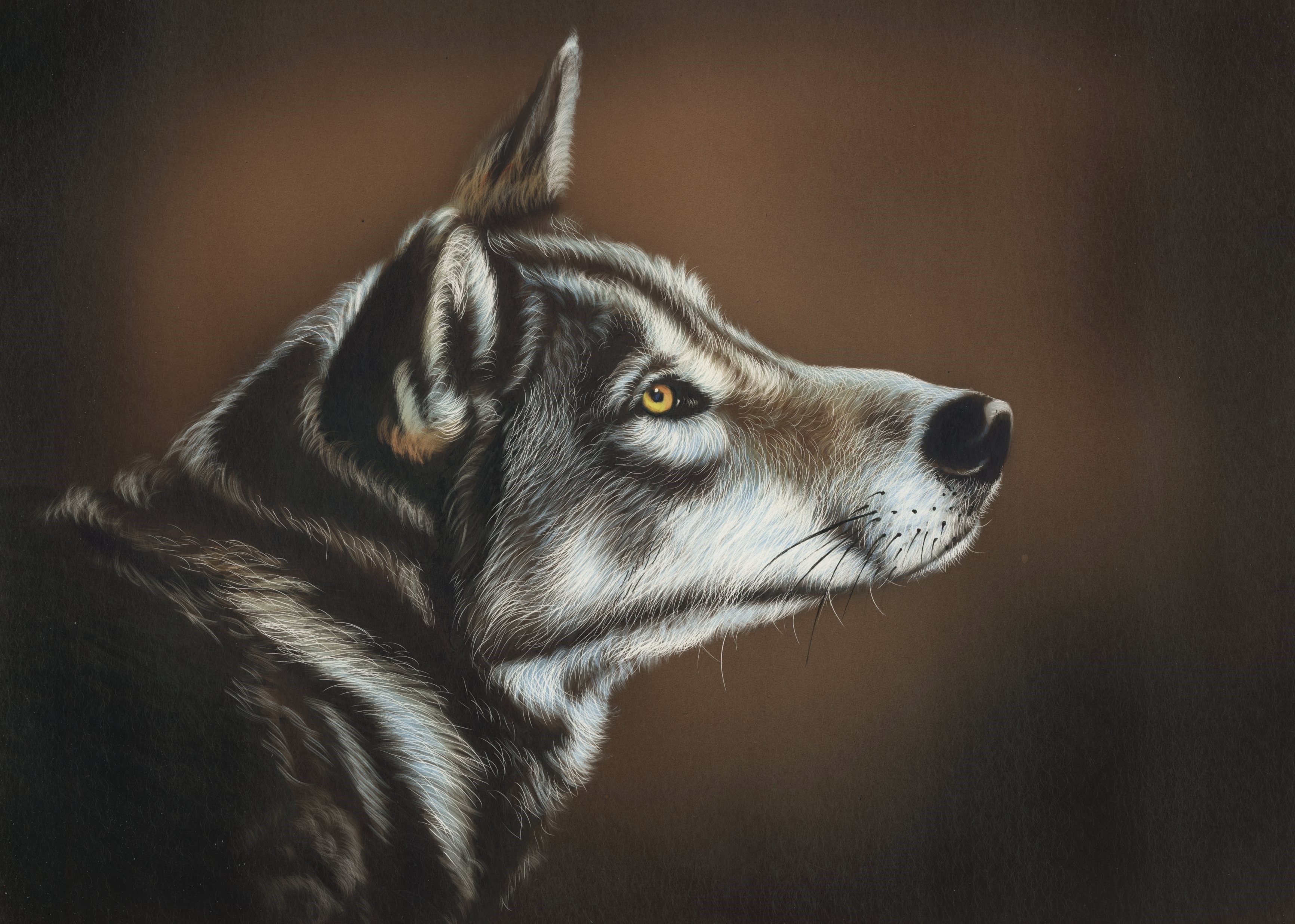 Painting of a Wolf's Head HD Wallpaper