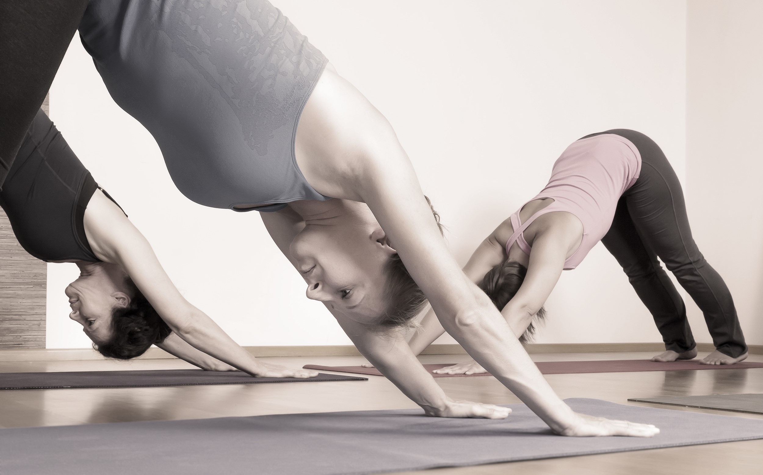 Women practicing Downward-Facing Dog yoga pose HD Wallpaper
