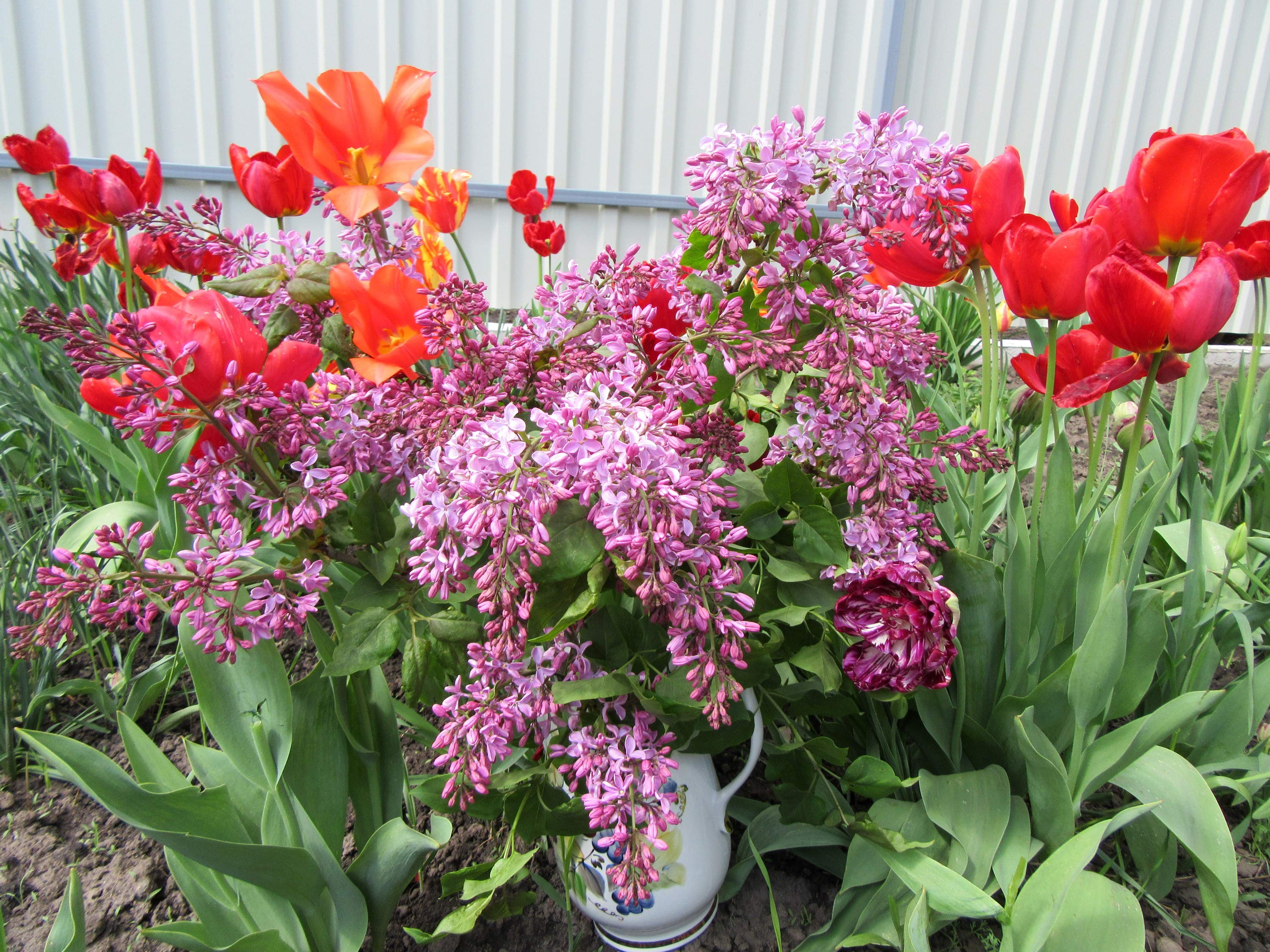 Bouquet of Lilacs and Tulips in a Vase HD Wallpaper