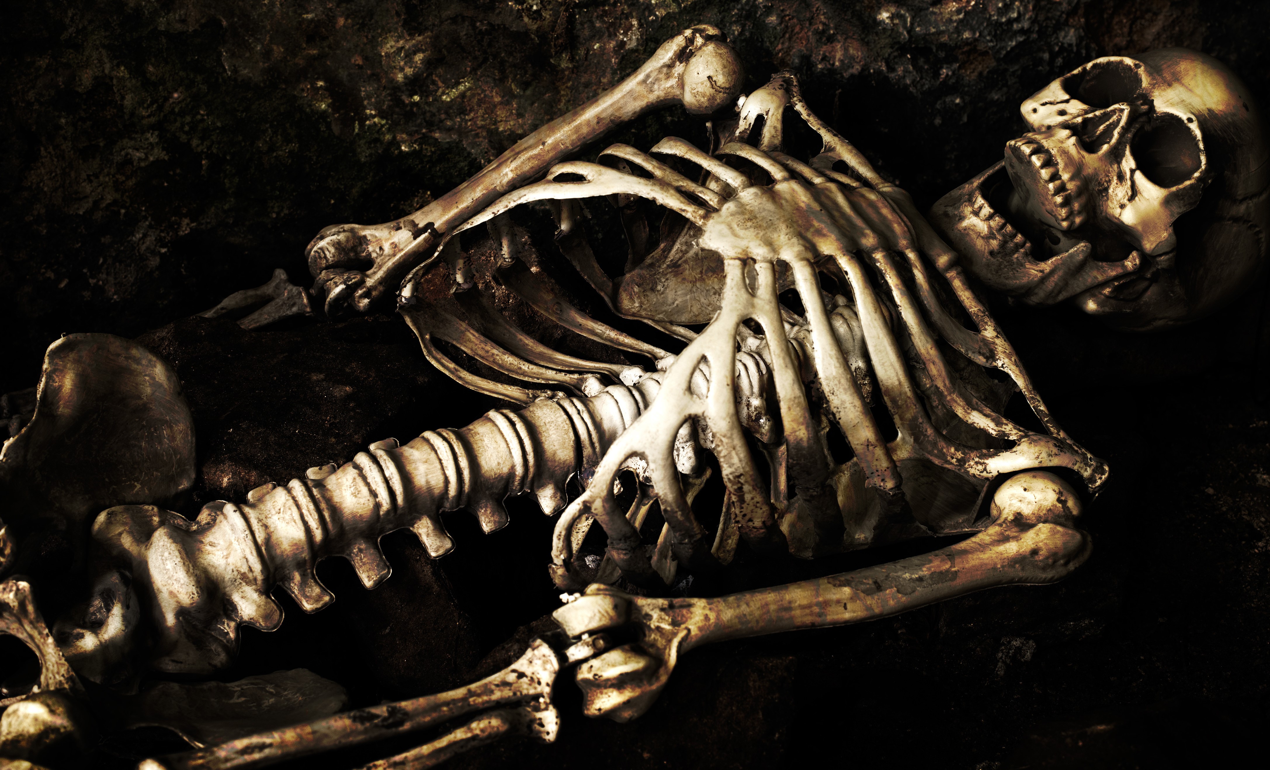 4K Skeleton lying down HD Wallpaper
