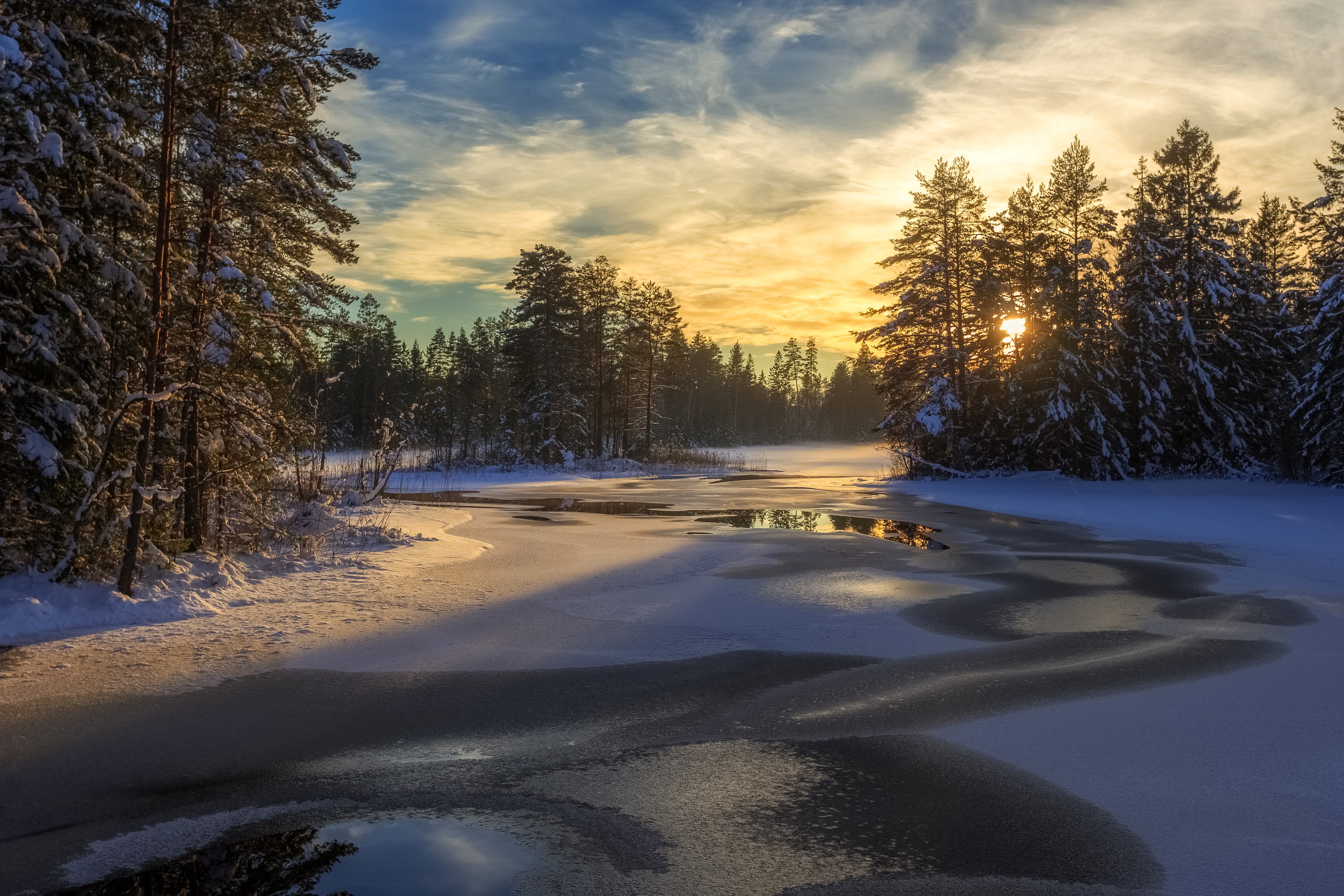 Winter forest and frozen lake at sunset HD Wallpaper
