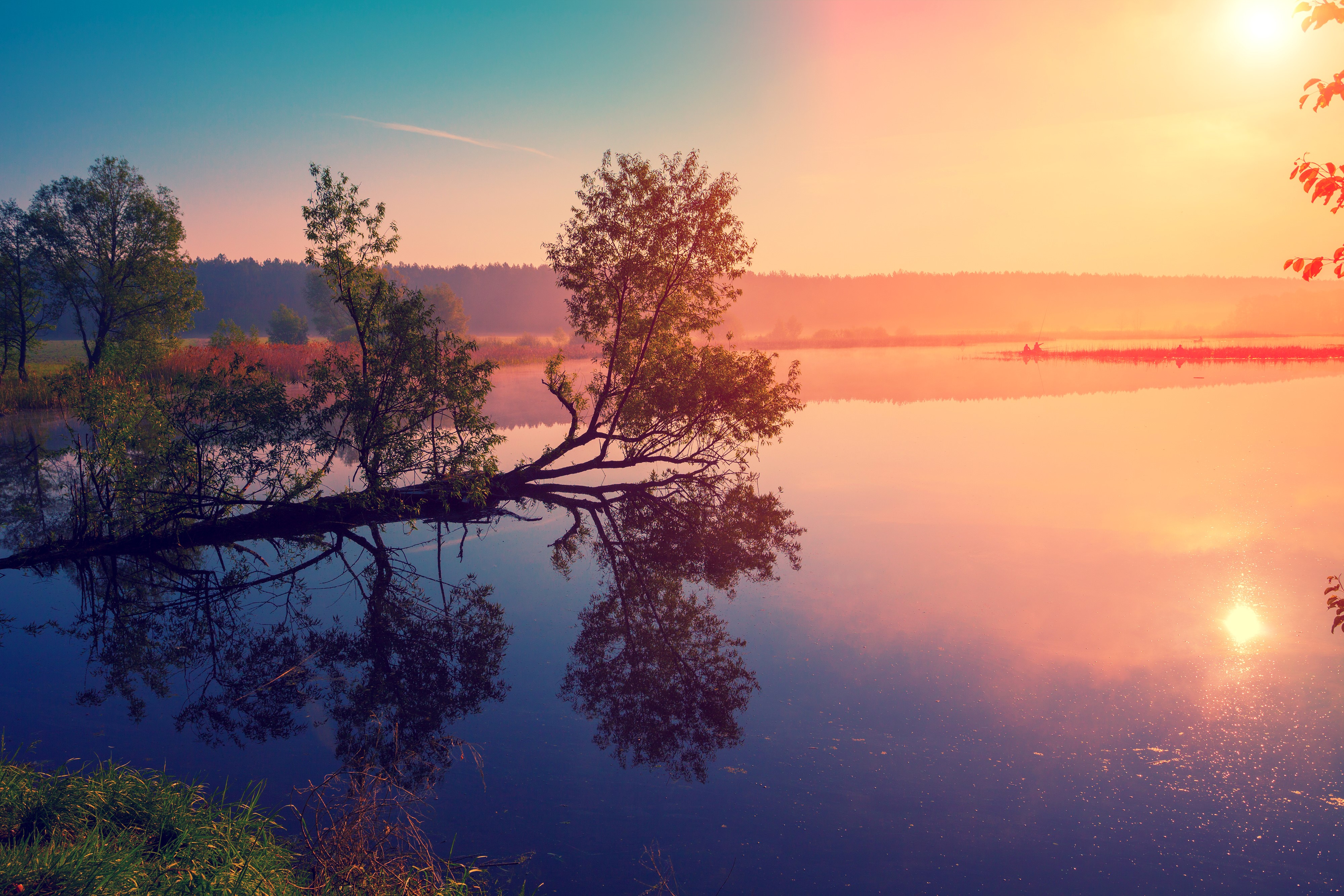 4K Sunrise over a Lake with Trees HD Wallpaper
