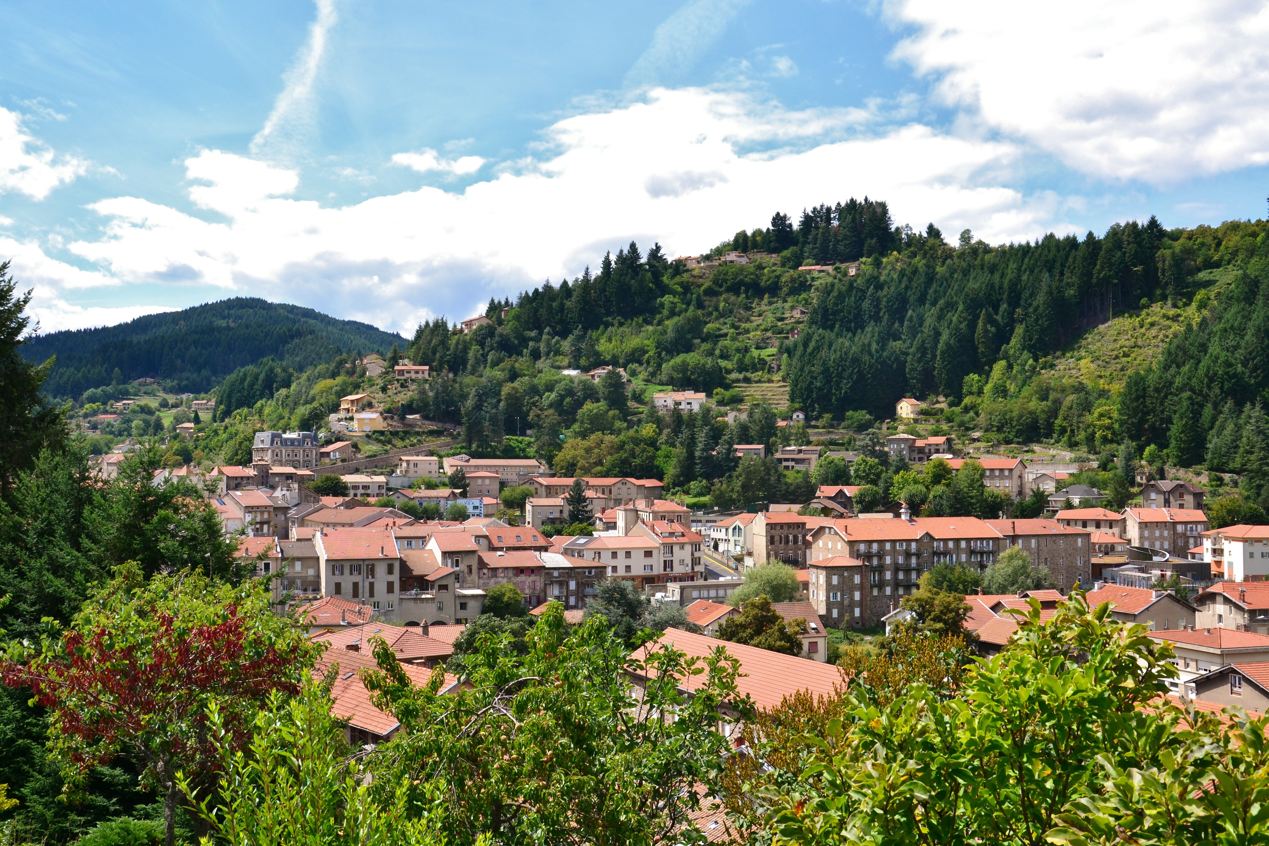 Cheylard, France: Houses and Trees on a Hillside HD Wallpaper