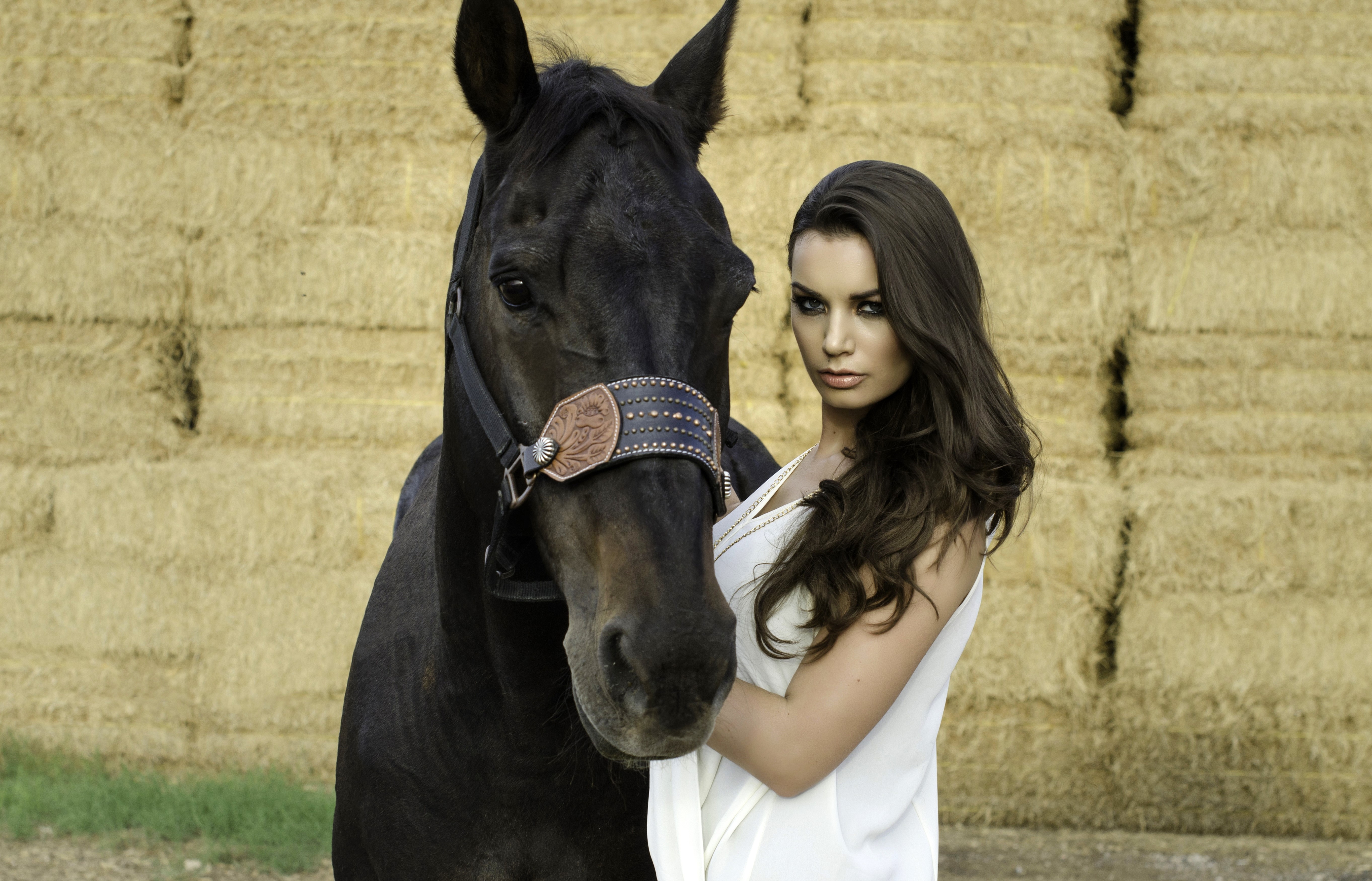 Brunette girl with a black horse in front of hay bales HD Wallpaper