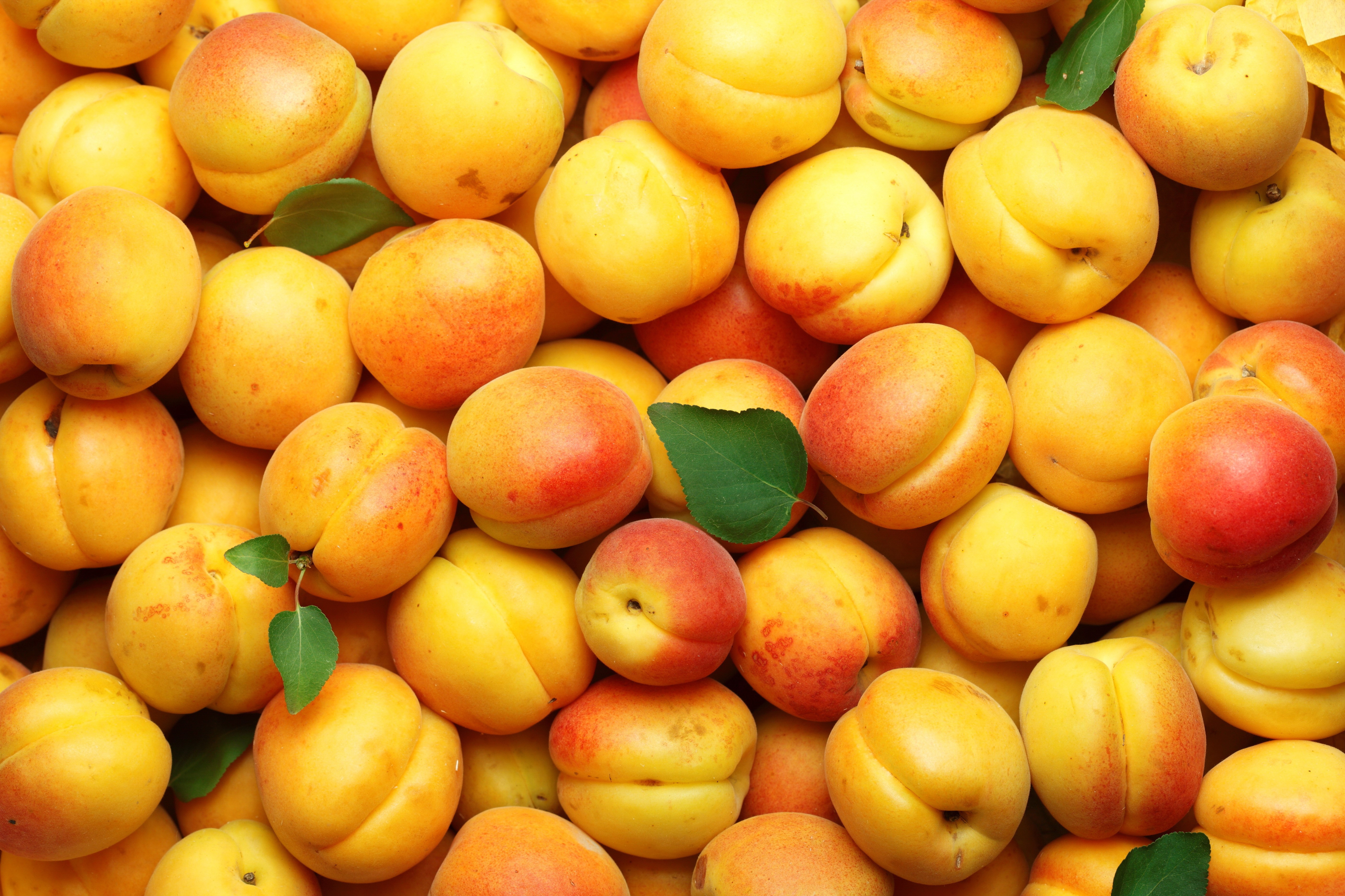 4K Vibrant Apricot Texture Close-Up HD Wallpaper