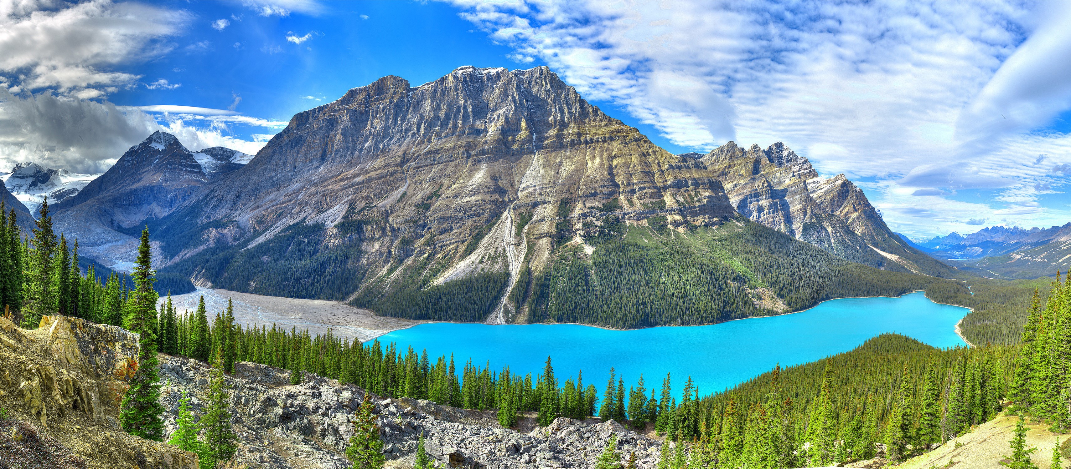 Peyto Lake, Canada, Mountains, Forests, Scenery HD Wallpaper
