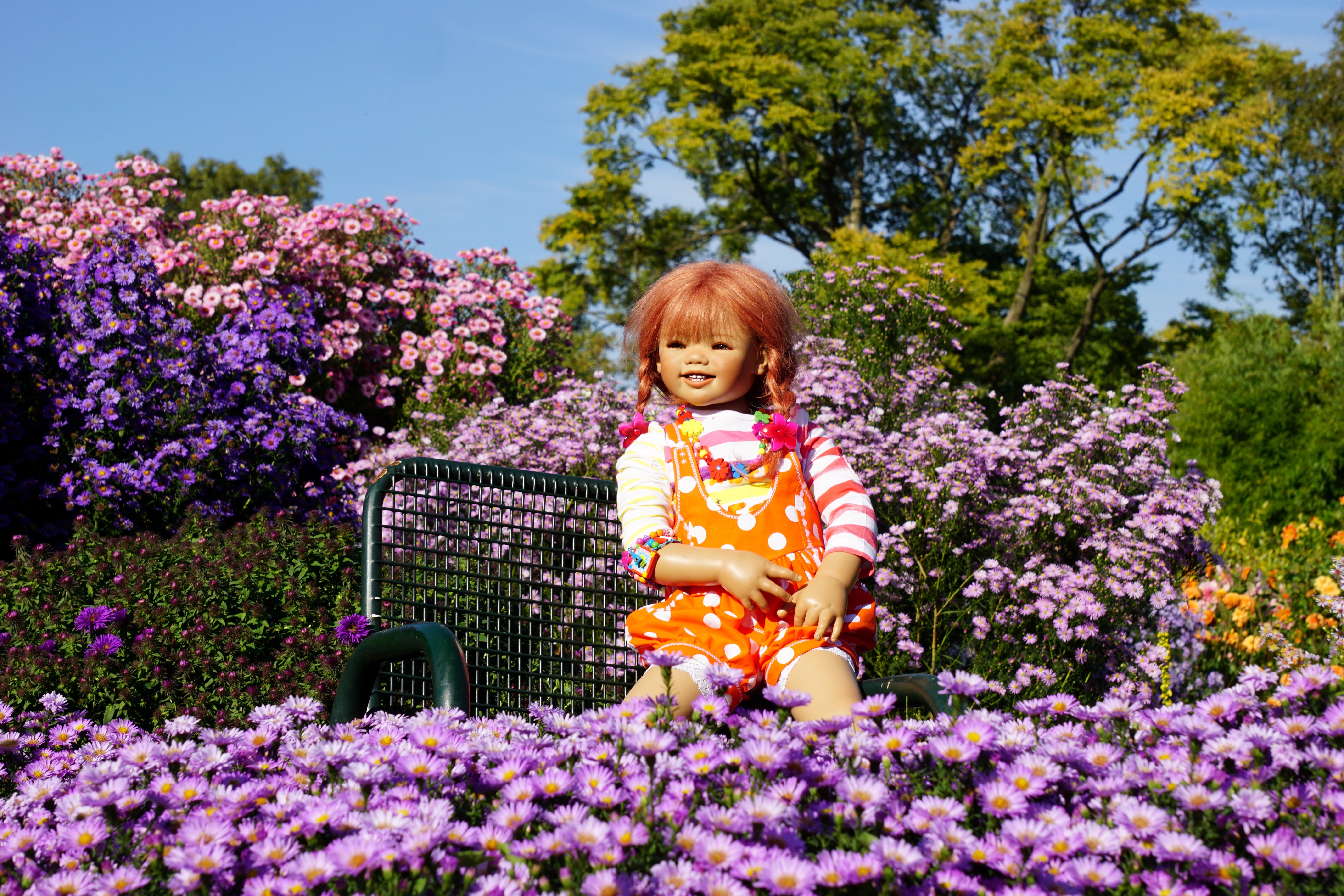 Doll in a park with asters HD Wallpaper