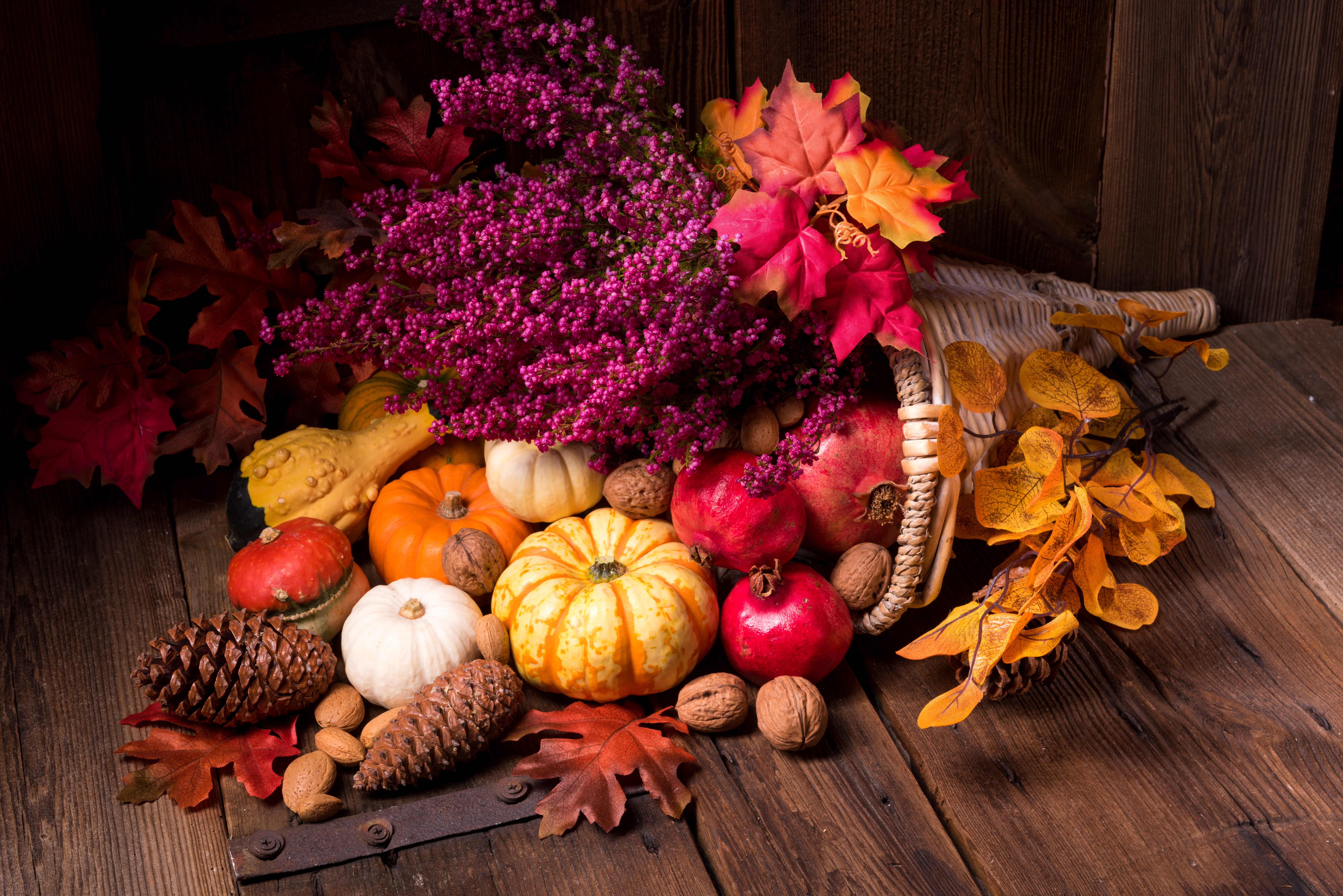 Autumn harvest with pumpkins, pomegranates, and pine cones HD Wallpaper