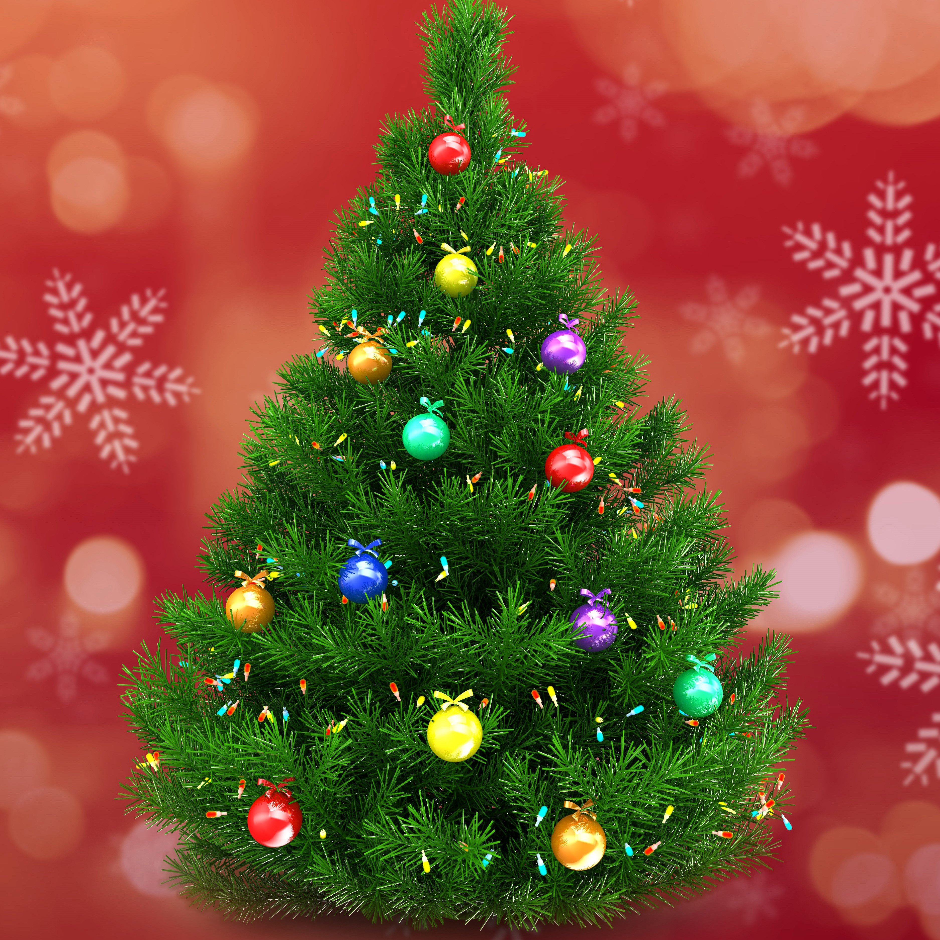 Decorated Christmas tree with ornaments and lights HD Wallpaper