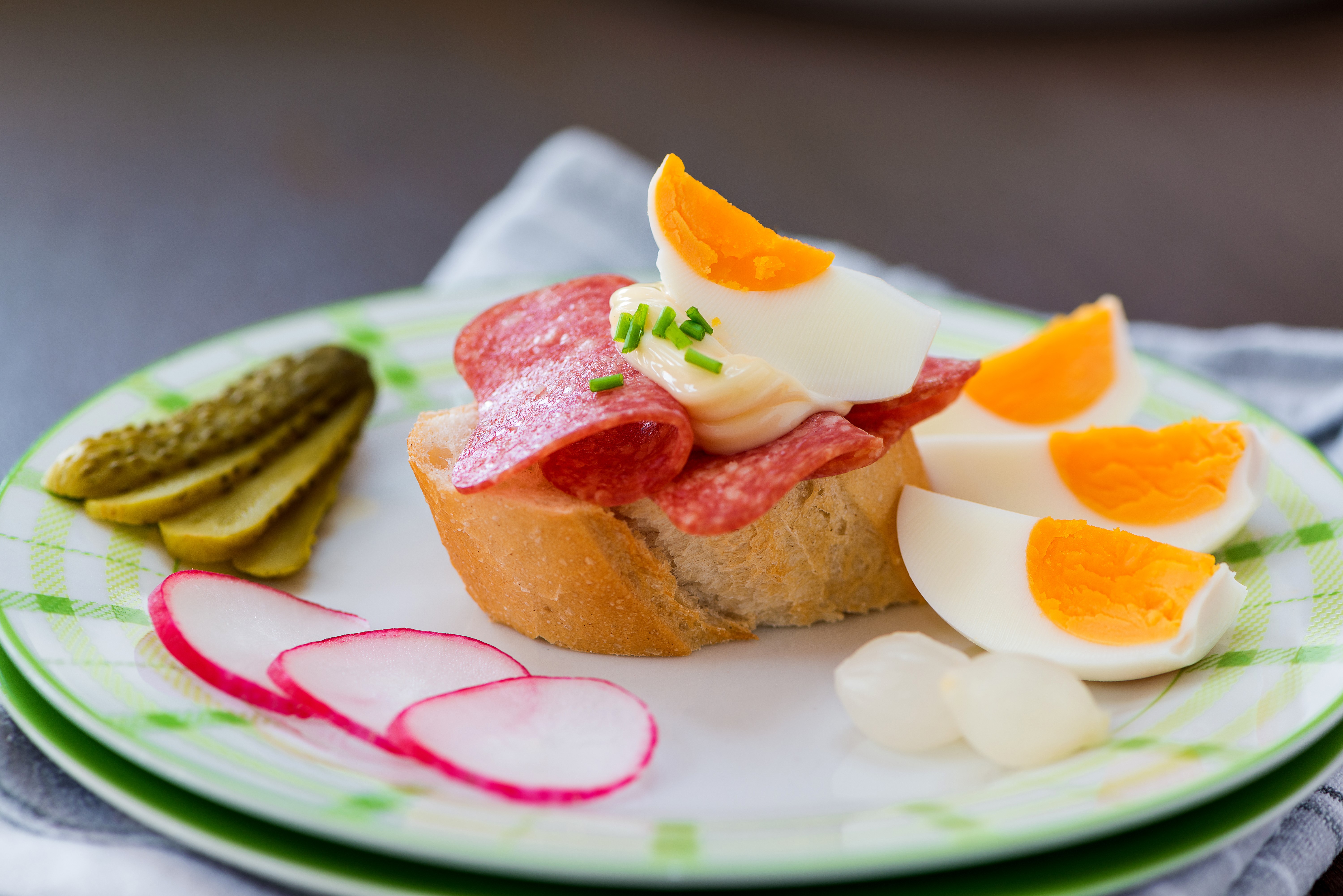 Butterbrot with salami, egg, pickles, radishes, and onions on a plate HD Wallpaper