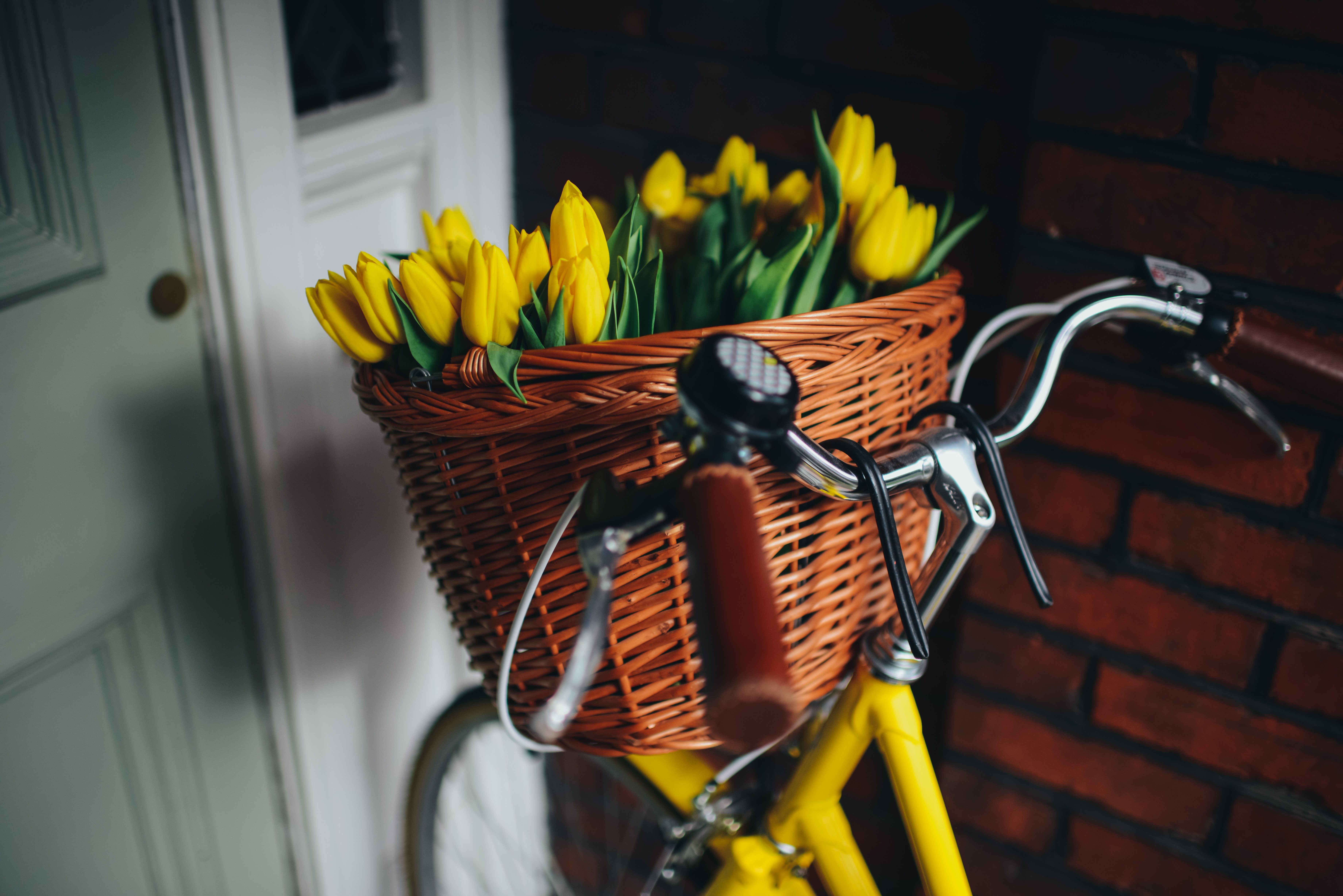 Yellow bicycle with a wicker basket full of yellow tulips HD Wallpaper