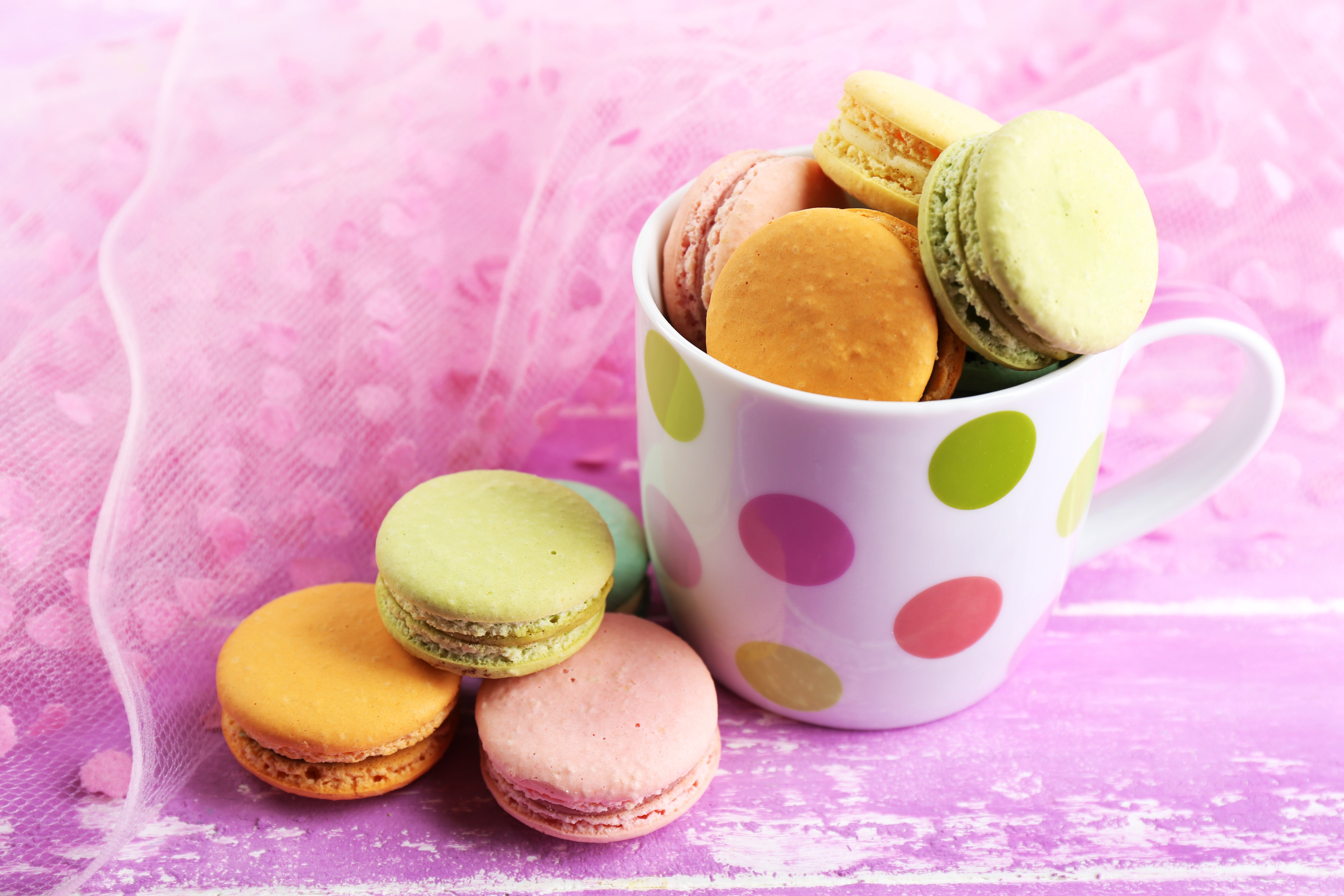 Macarons in a polka dot cup HD Wallpaper
