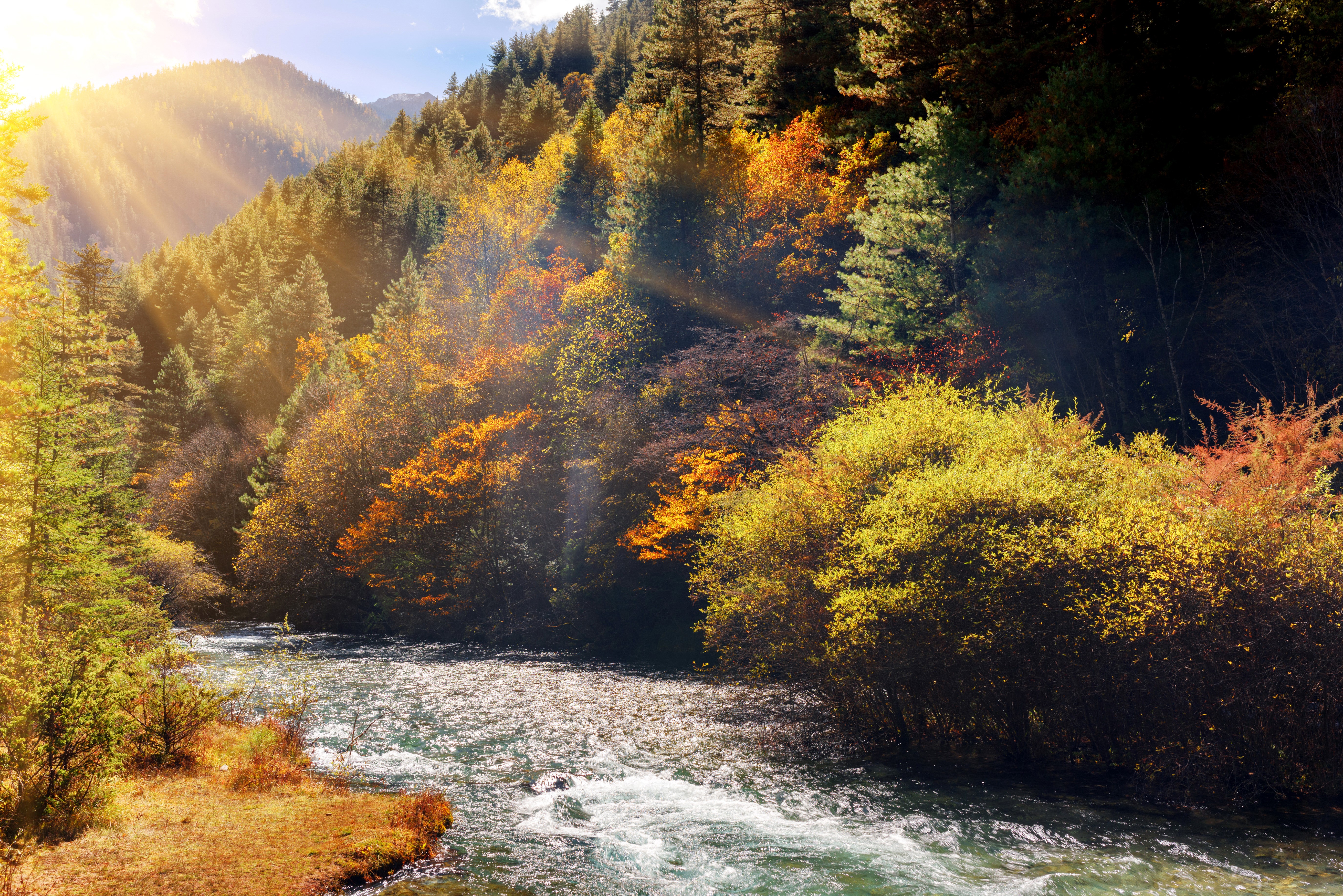 Autumn forest and river in Jiuzhai Valley National Park, China HD Wallpaper