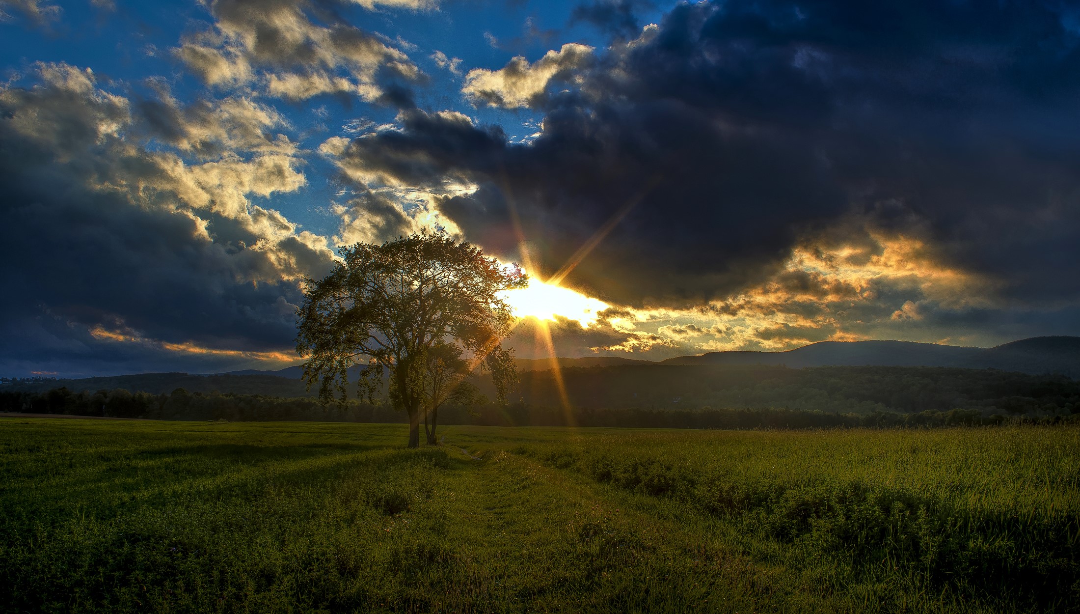 Sunset over a field with a tree in Quebec, Canada HD Wallpaper
