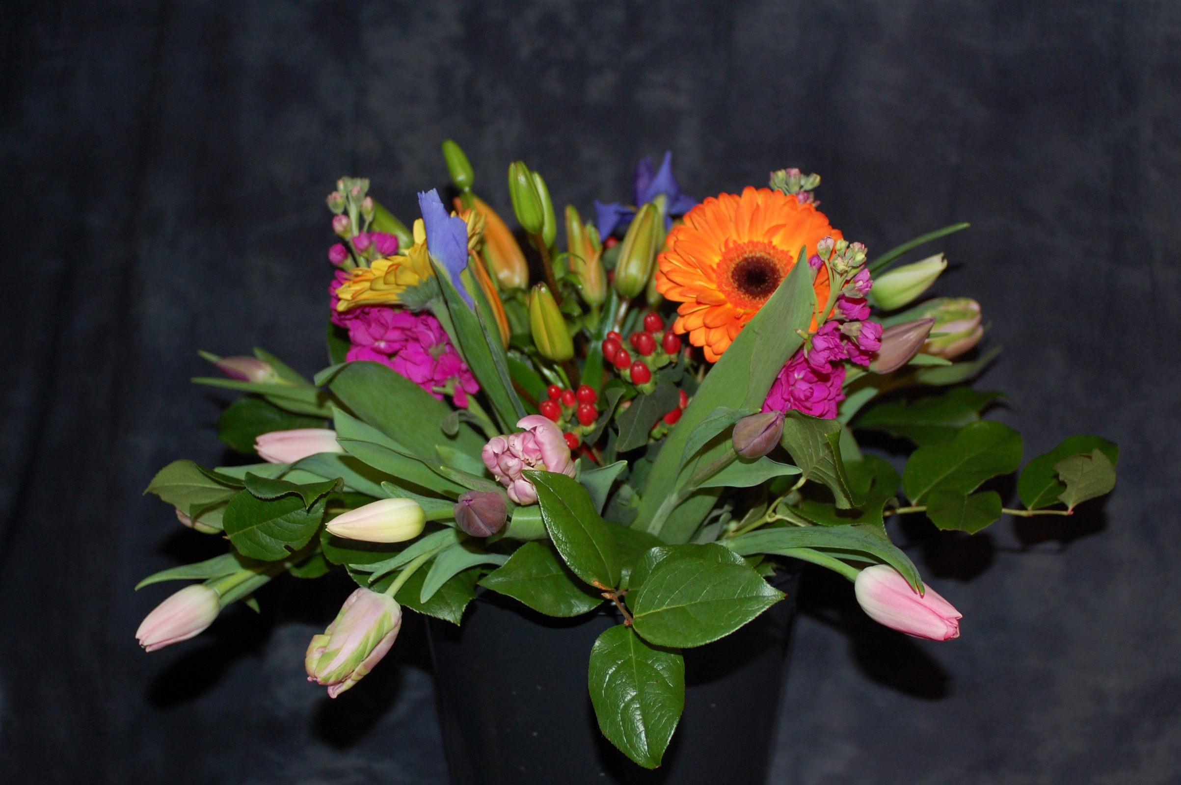 Bouquet of Tulips, Gerberas, and Irises HD Wallpaper